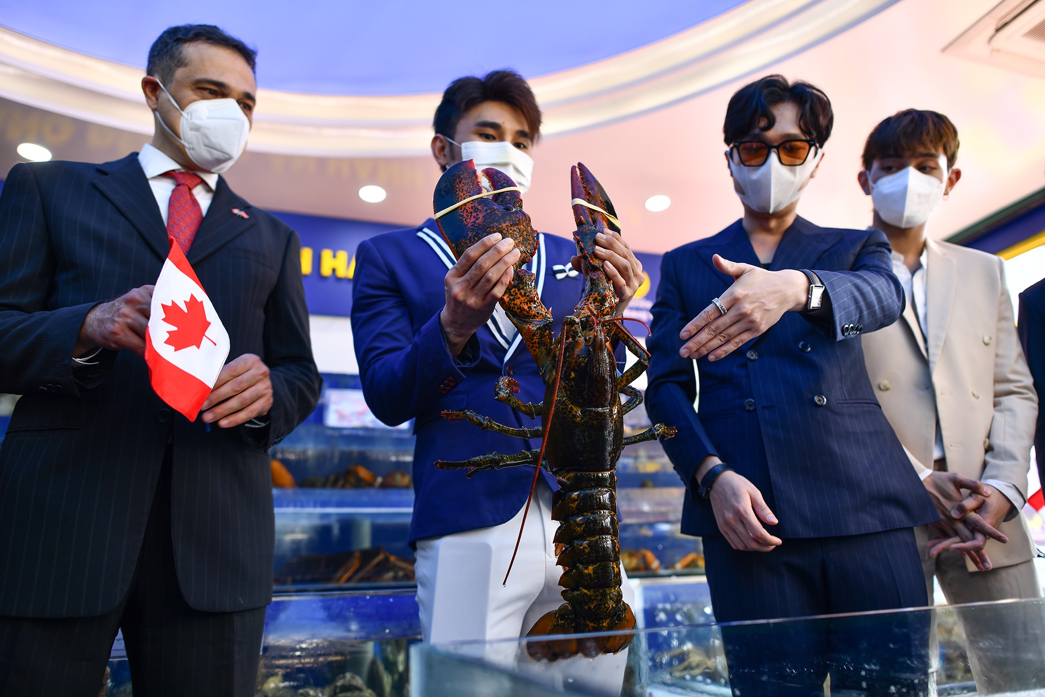 Tom hum Canada nang hon 6 kg trong le hoi tai TP.HCM hinh anh