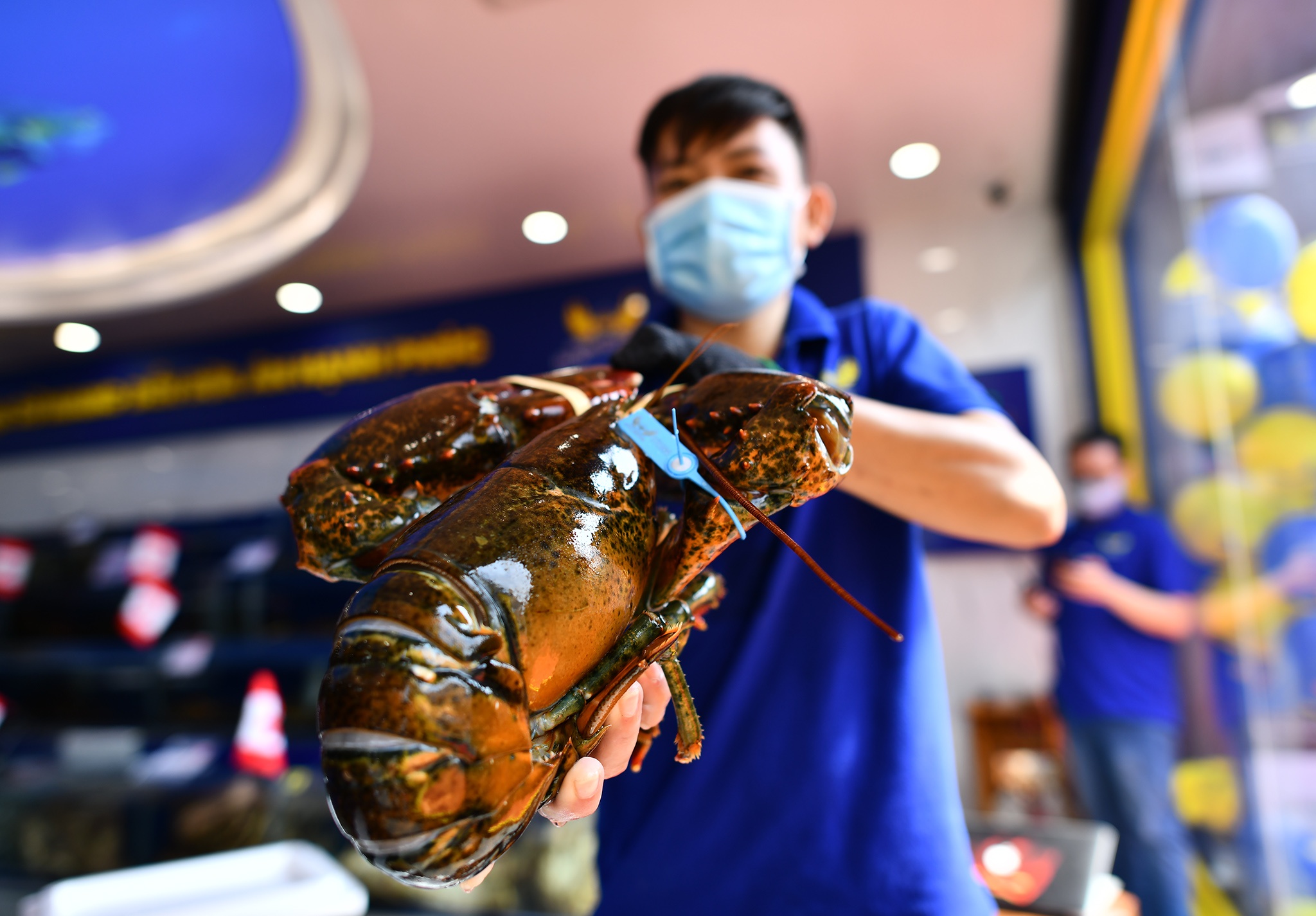 Le hoi Hai san Canada tai TP.HCM anh 2