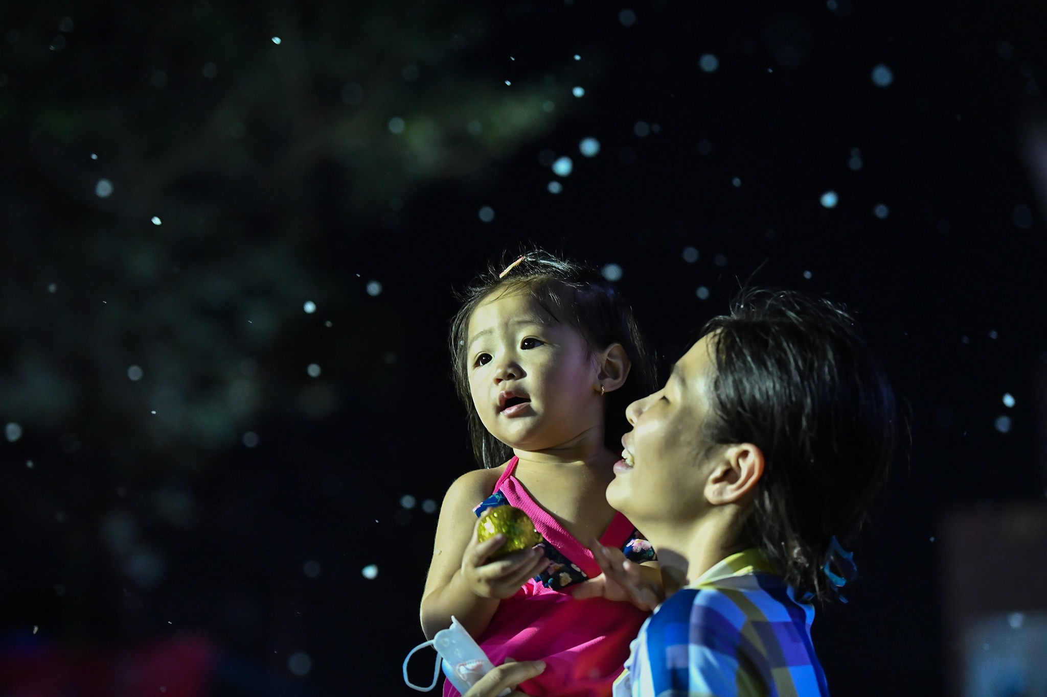 Xom dao Pham The Hien dip Giang sinh anh 3