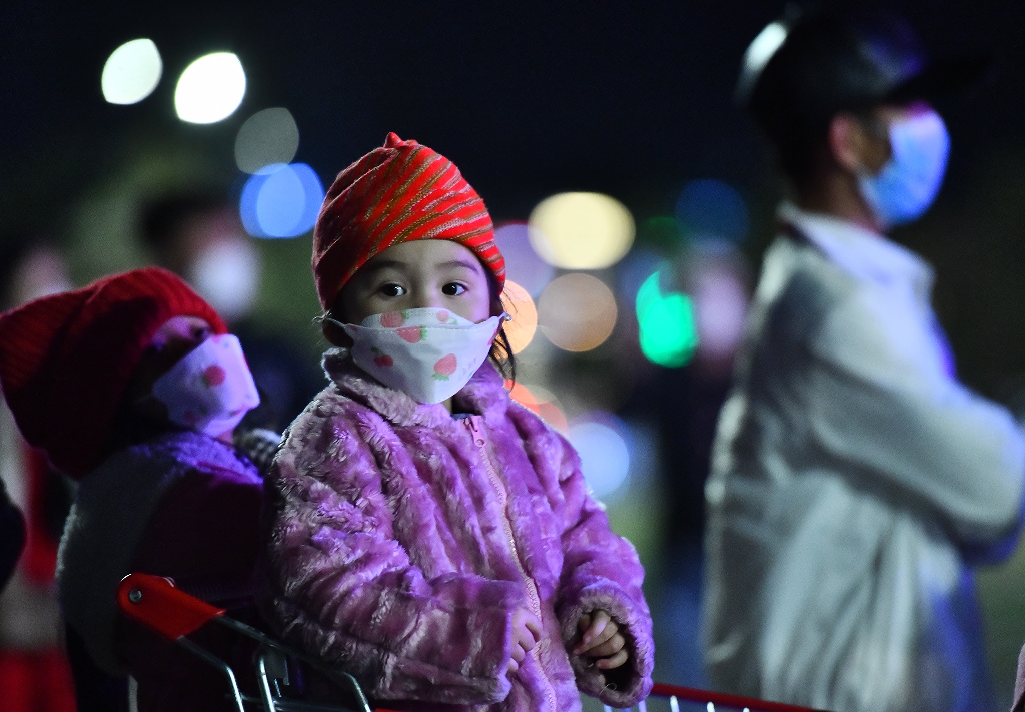 TP Da Lat chao don nam moi anh 8