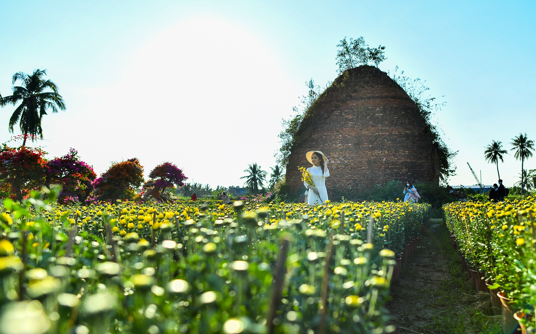 Check in lang hoa Cai Mon anh 6