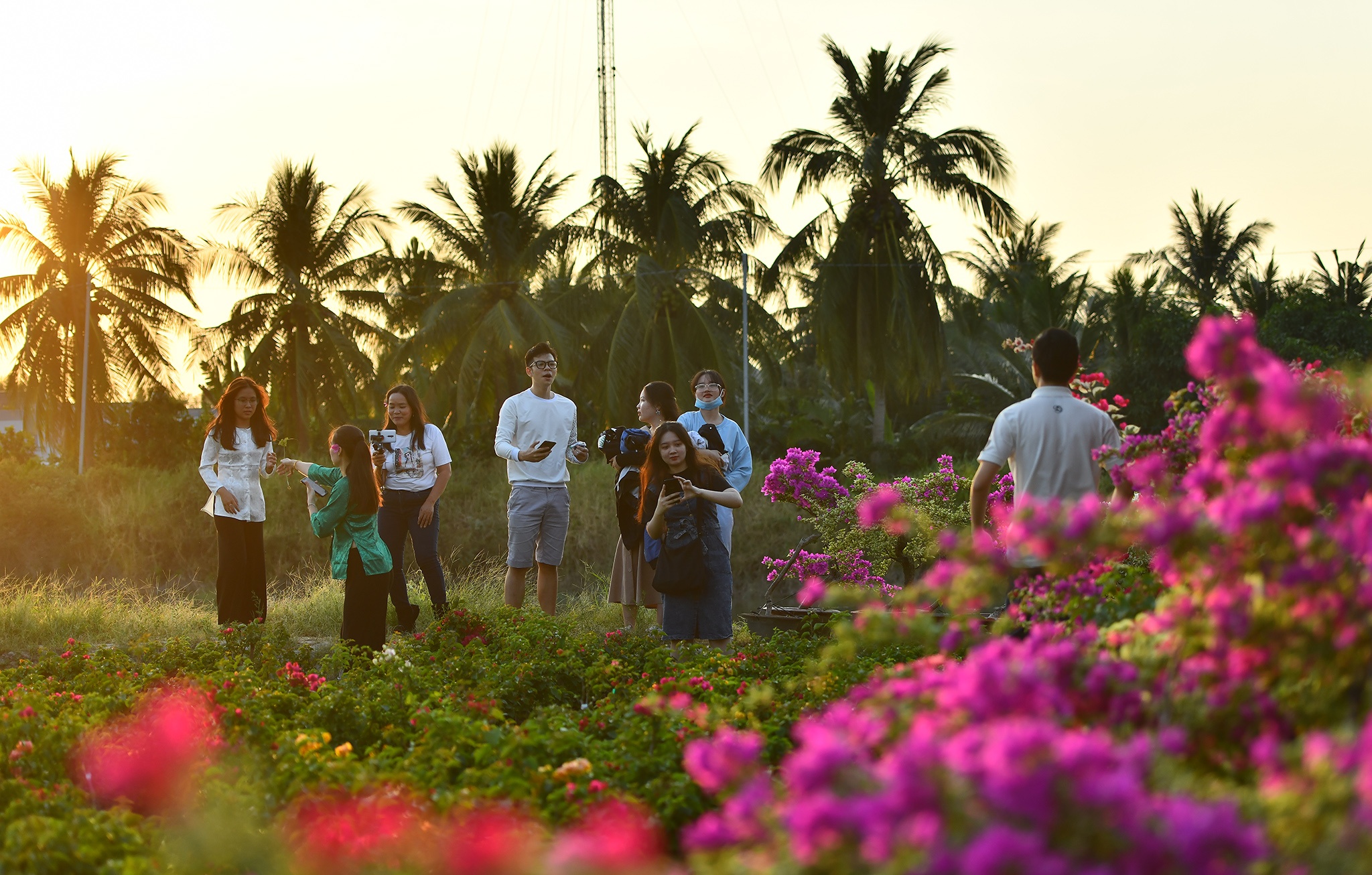 Check in lang hoa Cai Mon anh 4