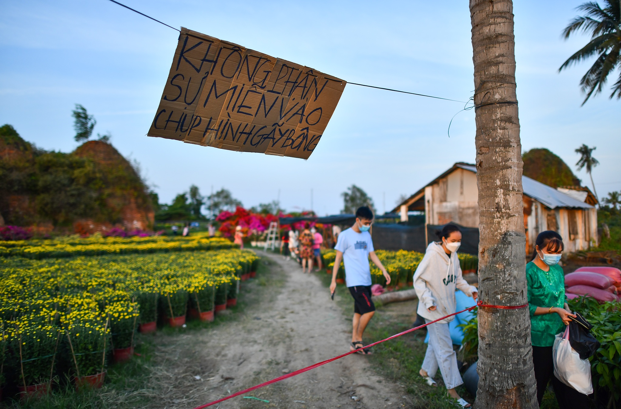 Check in lang hoa Cai Mon anh 8