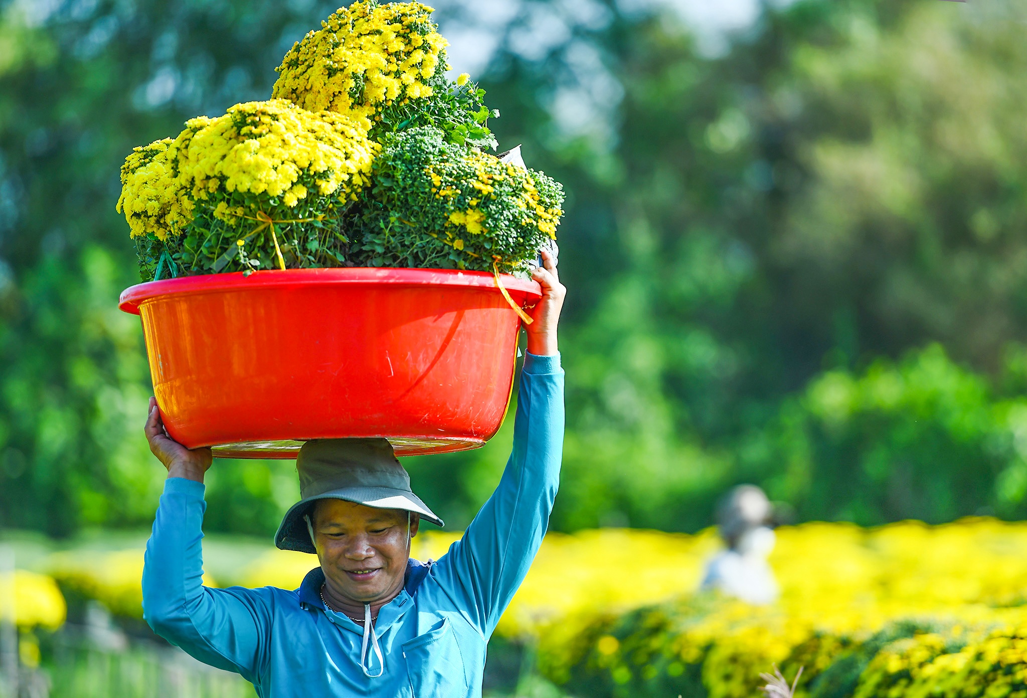 Nha vuon Sa Dec phan khoi vi cuc mam xoi hut hang, gia tang hinh anh