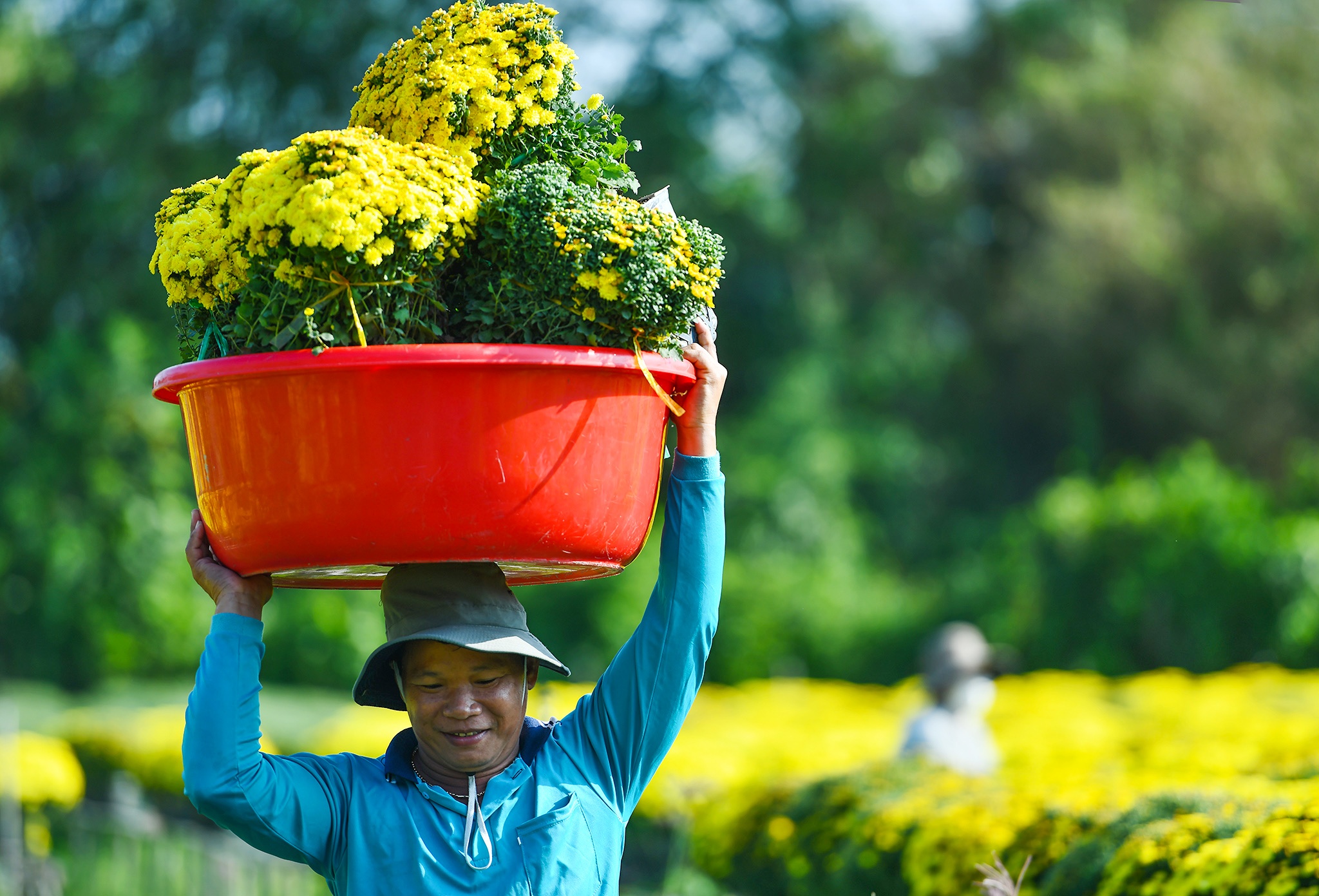 Nong dan mien Tay tat bat vu hoa anh 5