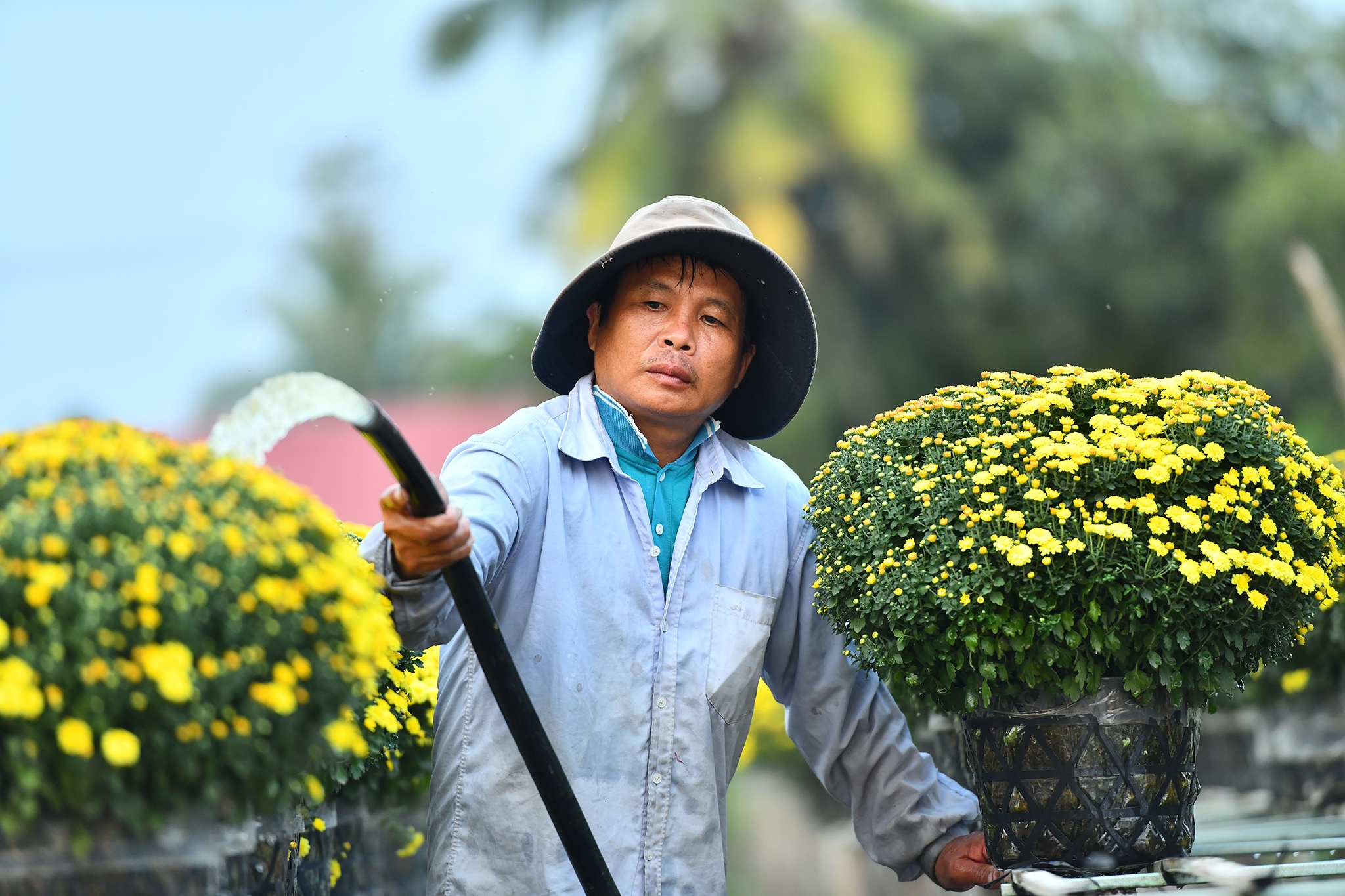 Nong dan mien Tay tat bat vu hoa anh 3