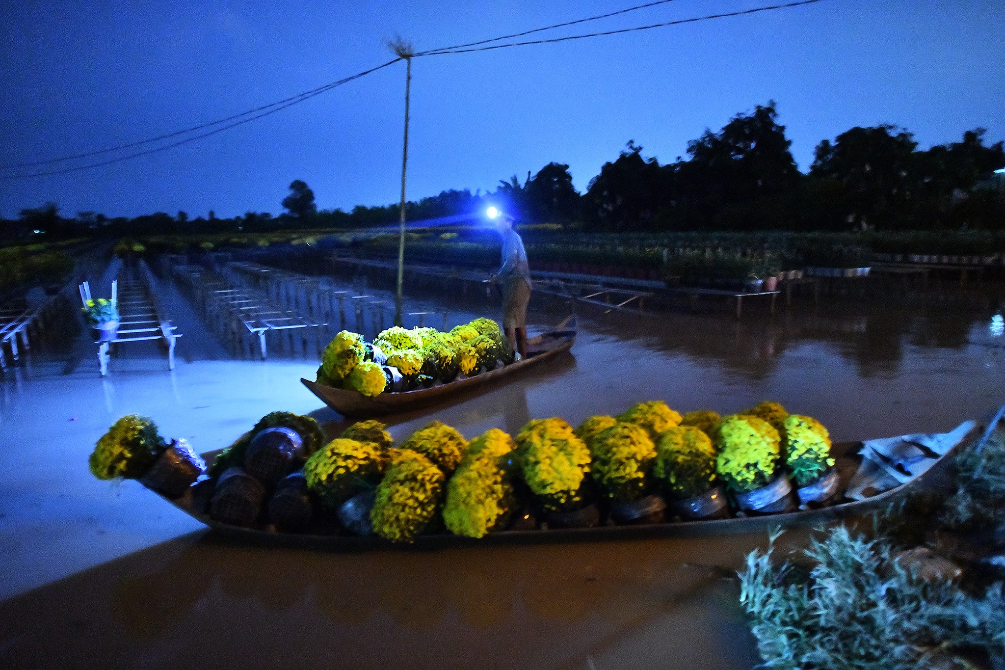 Nong dan mien Tay tat bat vu hoa anh 9