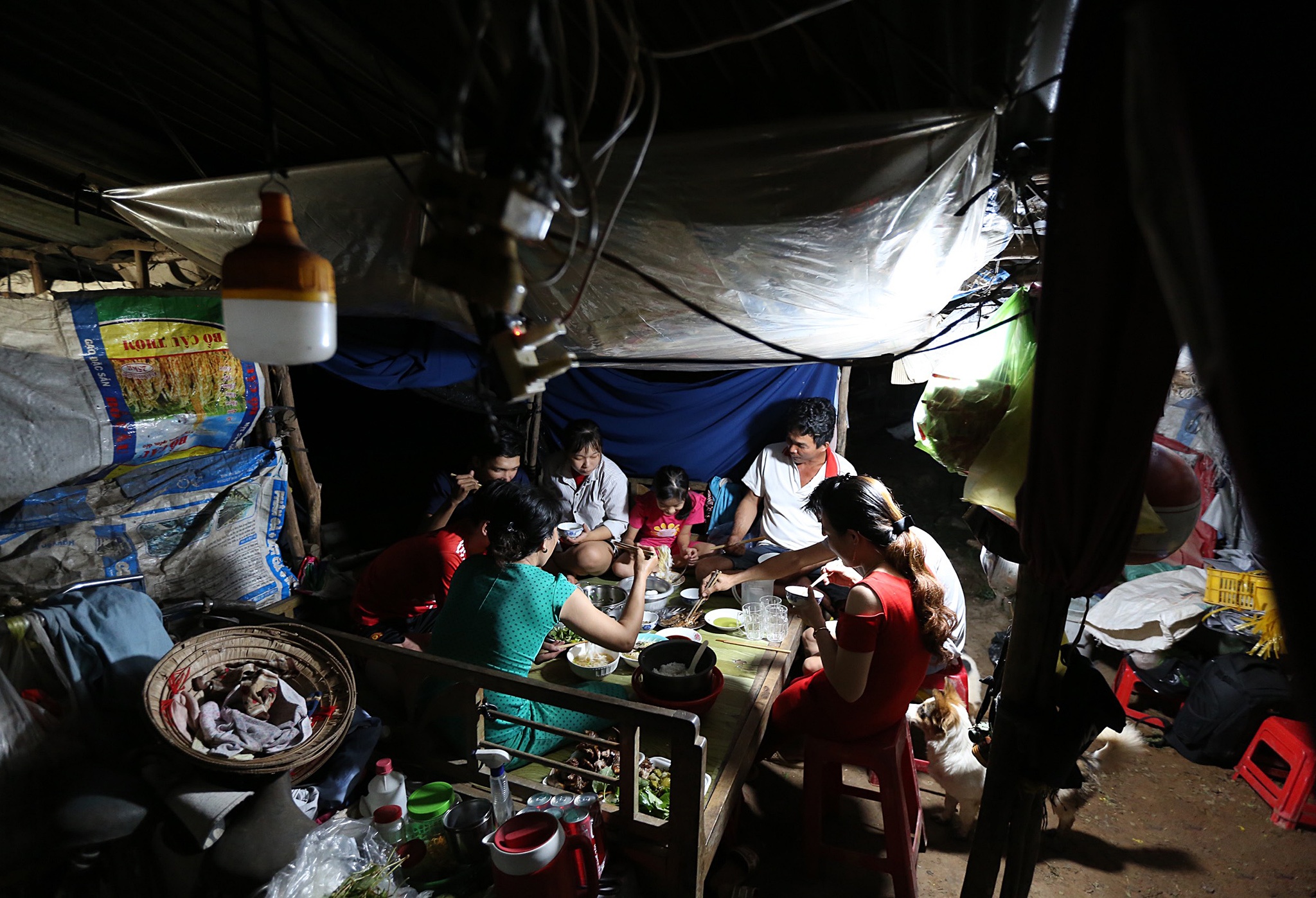 Nong dan mien Tay tat bat vu hoa anh 10