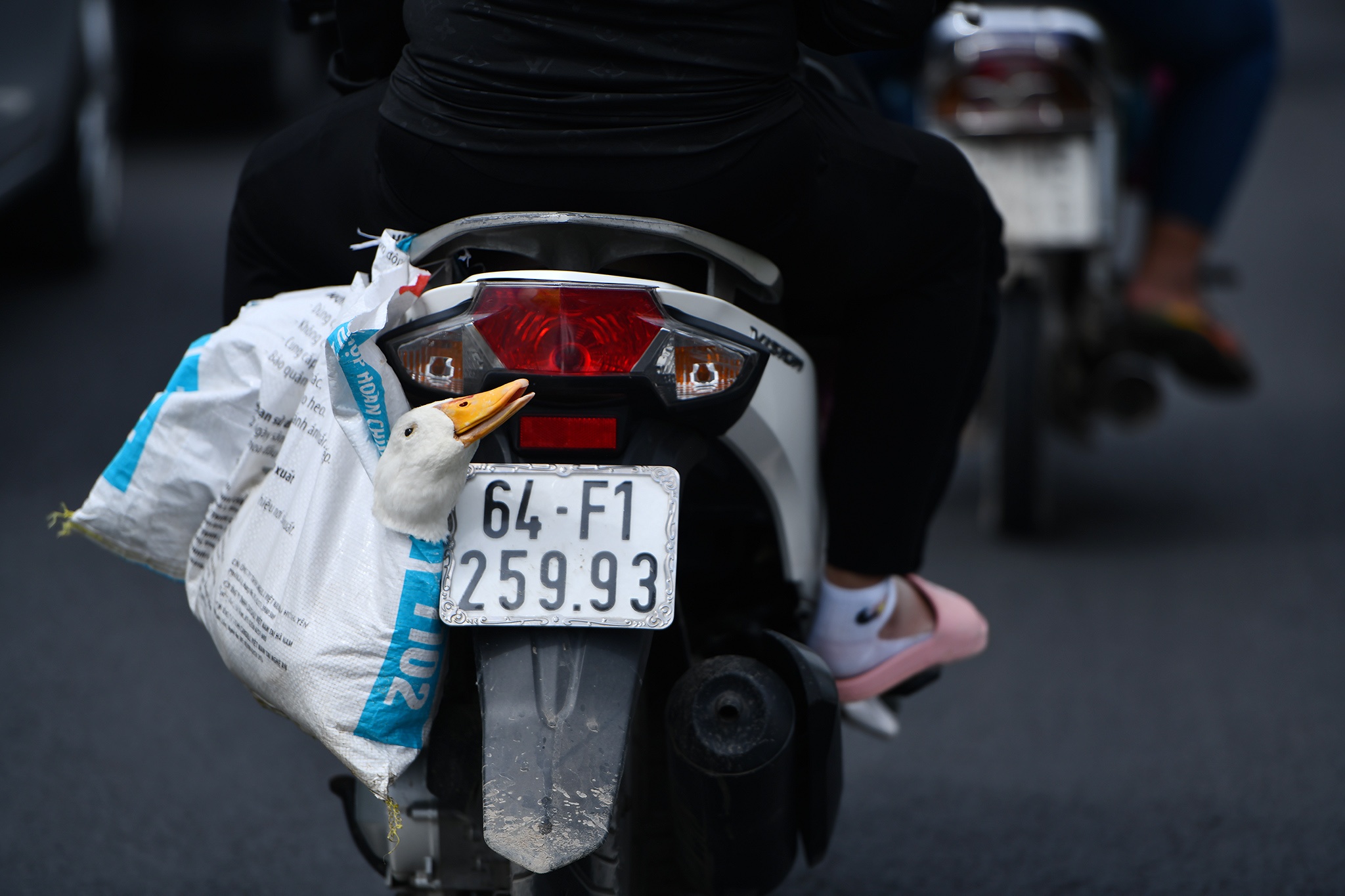 Nguoi mien Tay tro lai TP.HCM lam viec anh 17