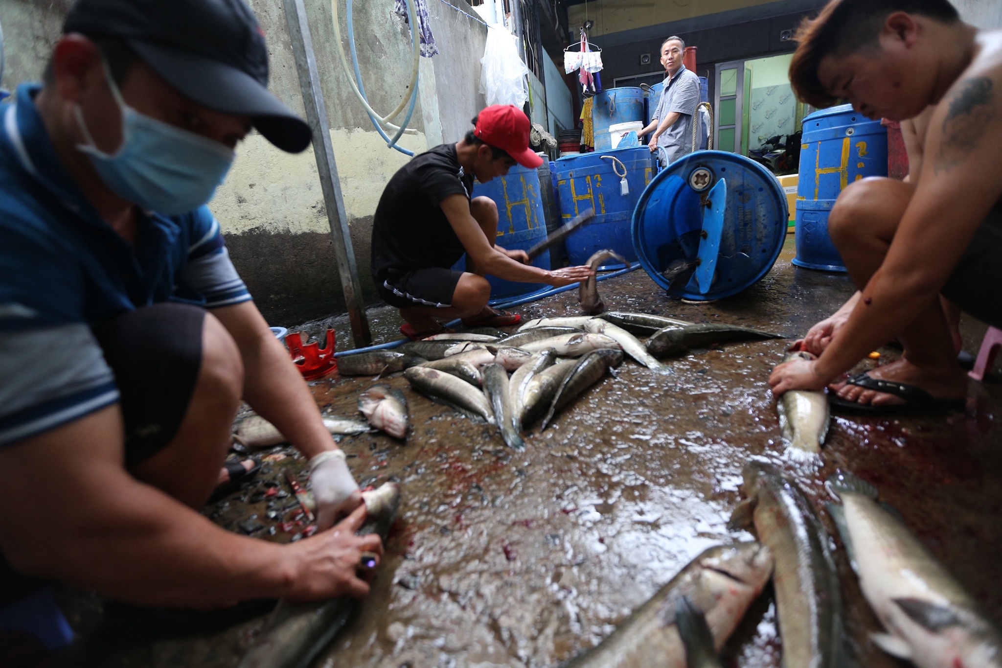 Pho ca loc nuong TP.HCM anh 10