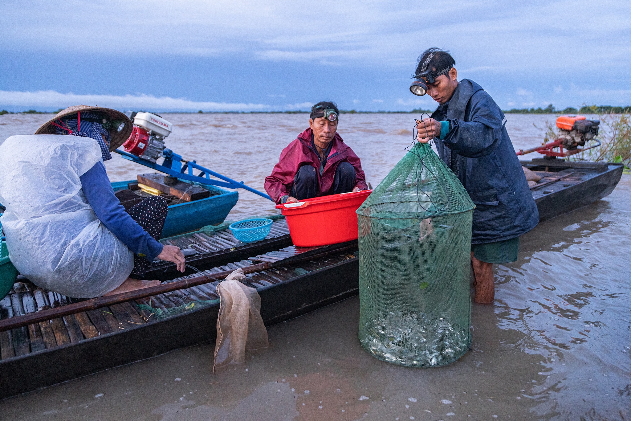 Nong dan mien Tay kiem tien trieu moi ngay tren canh dong lu hinh anh