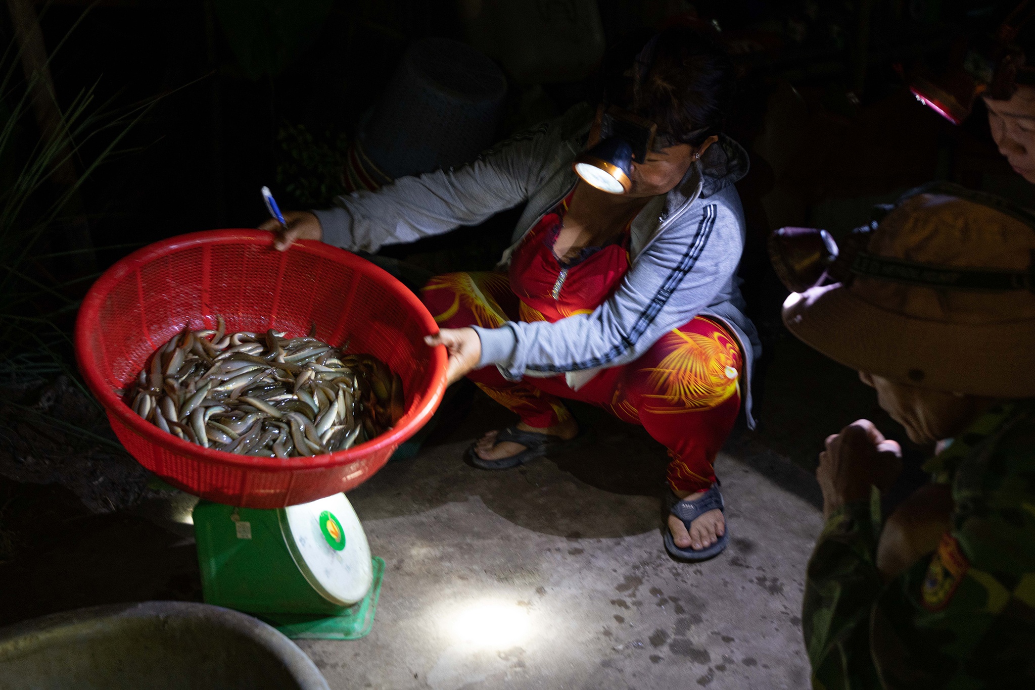 Muu sinh mua lu anh 10