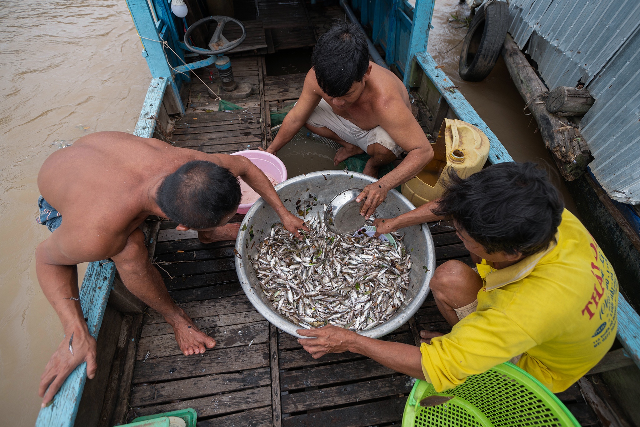 Muu sinh mua lu anh 5