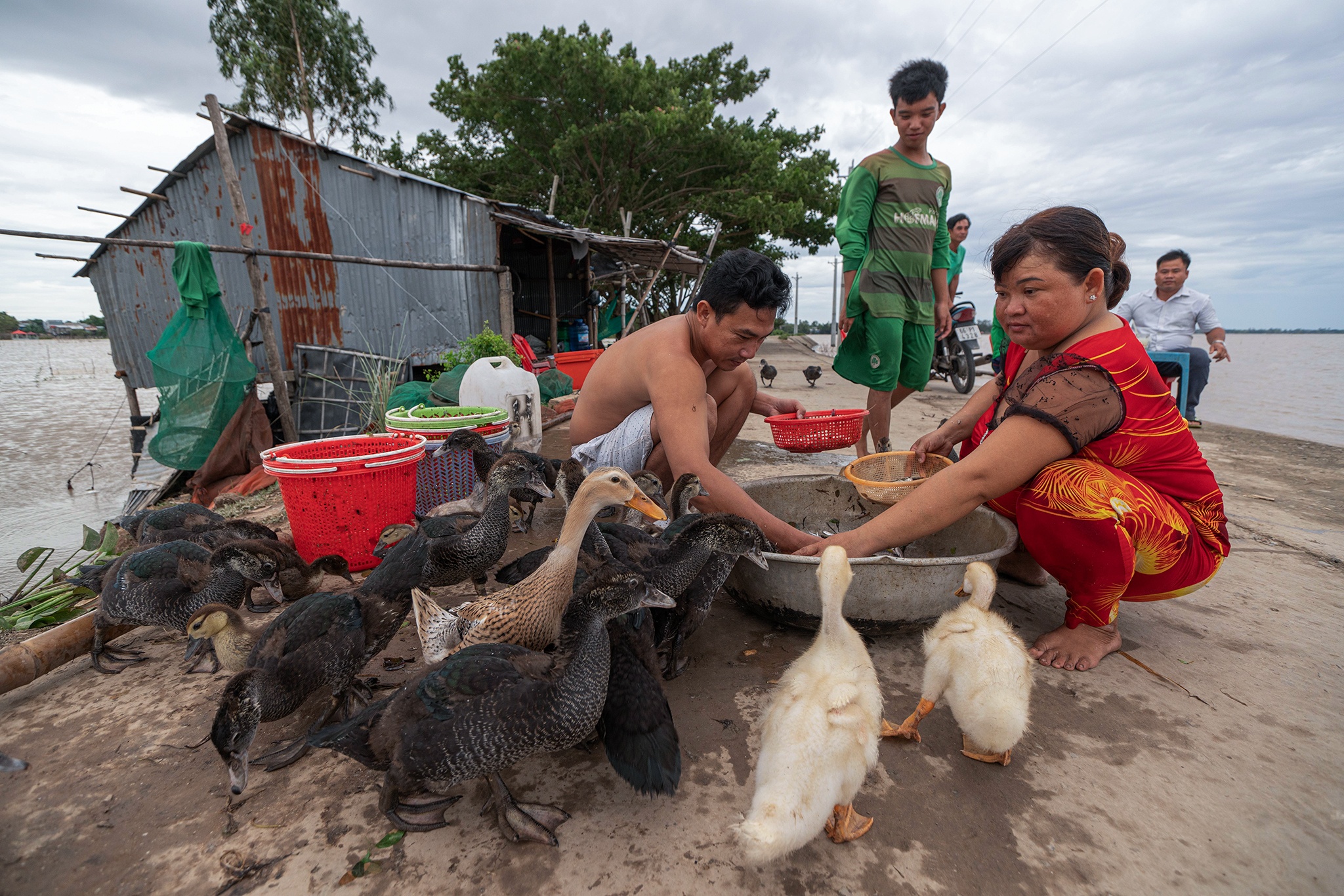 Muu sinh mua lu anh 8