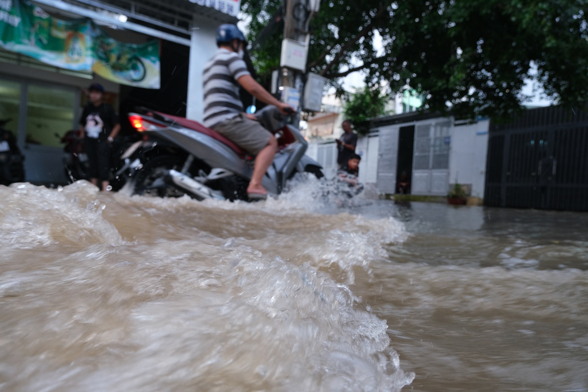 Ron trieu TP Can Tho anh 7