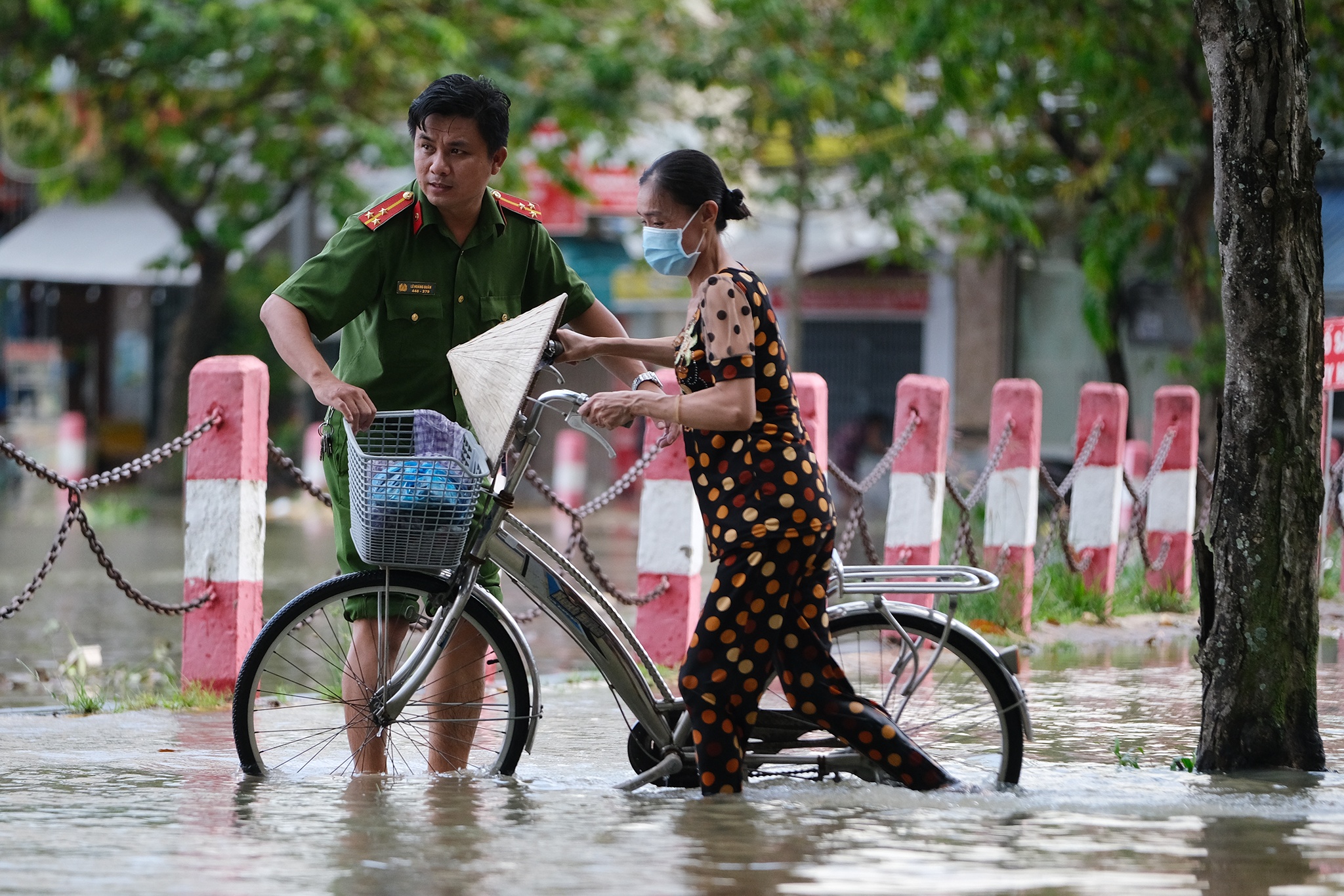 Ron trieu TP Can Tho anh 6