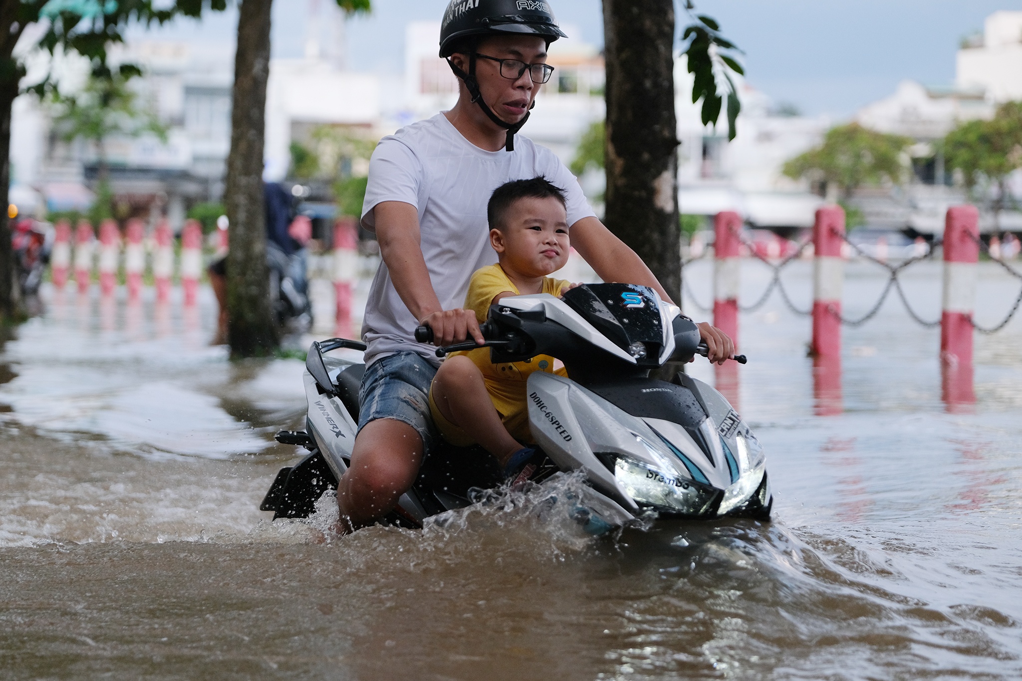 Ron trieu TP Can Tho anh 5