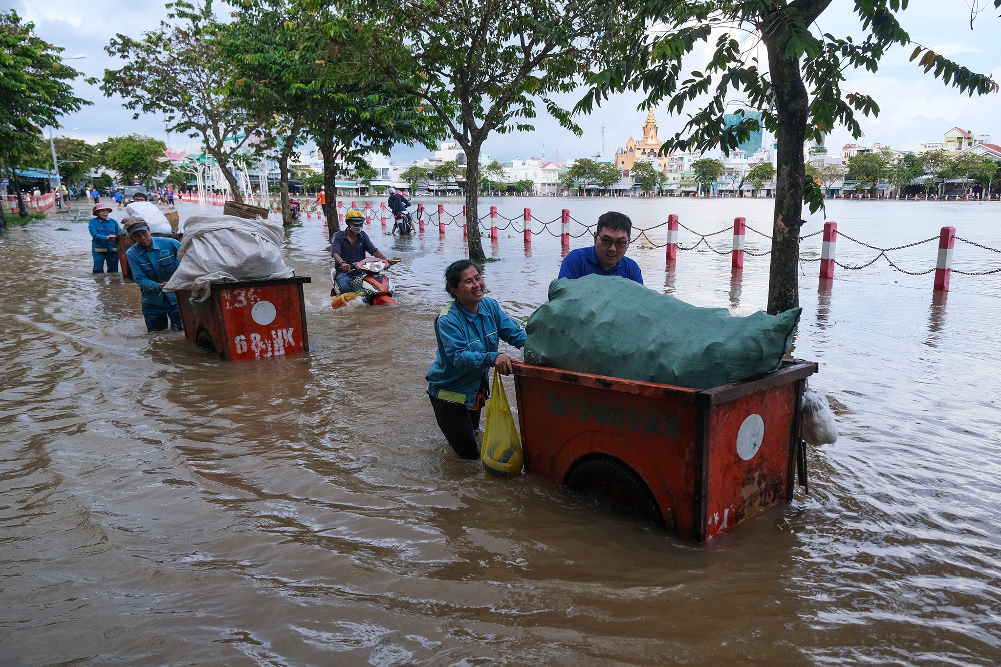 Ron trieu TP Can Tho anh 4