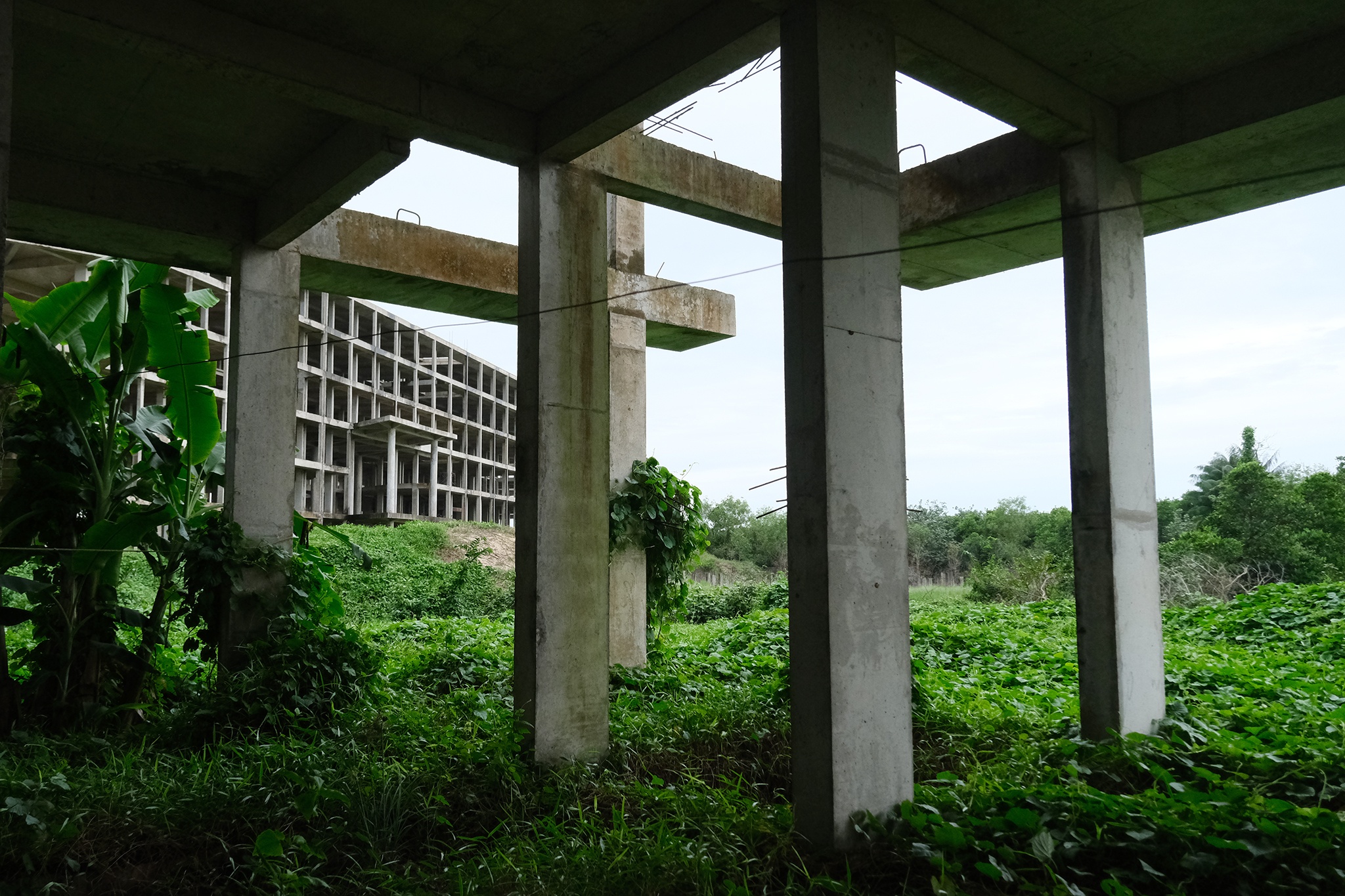 Sheraton Phu Quoc Resort anh 6