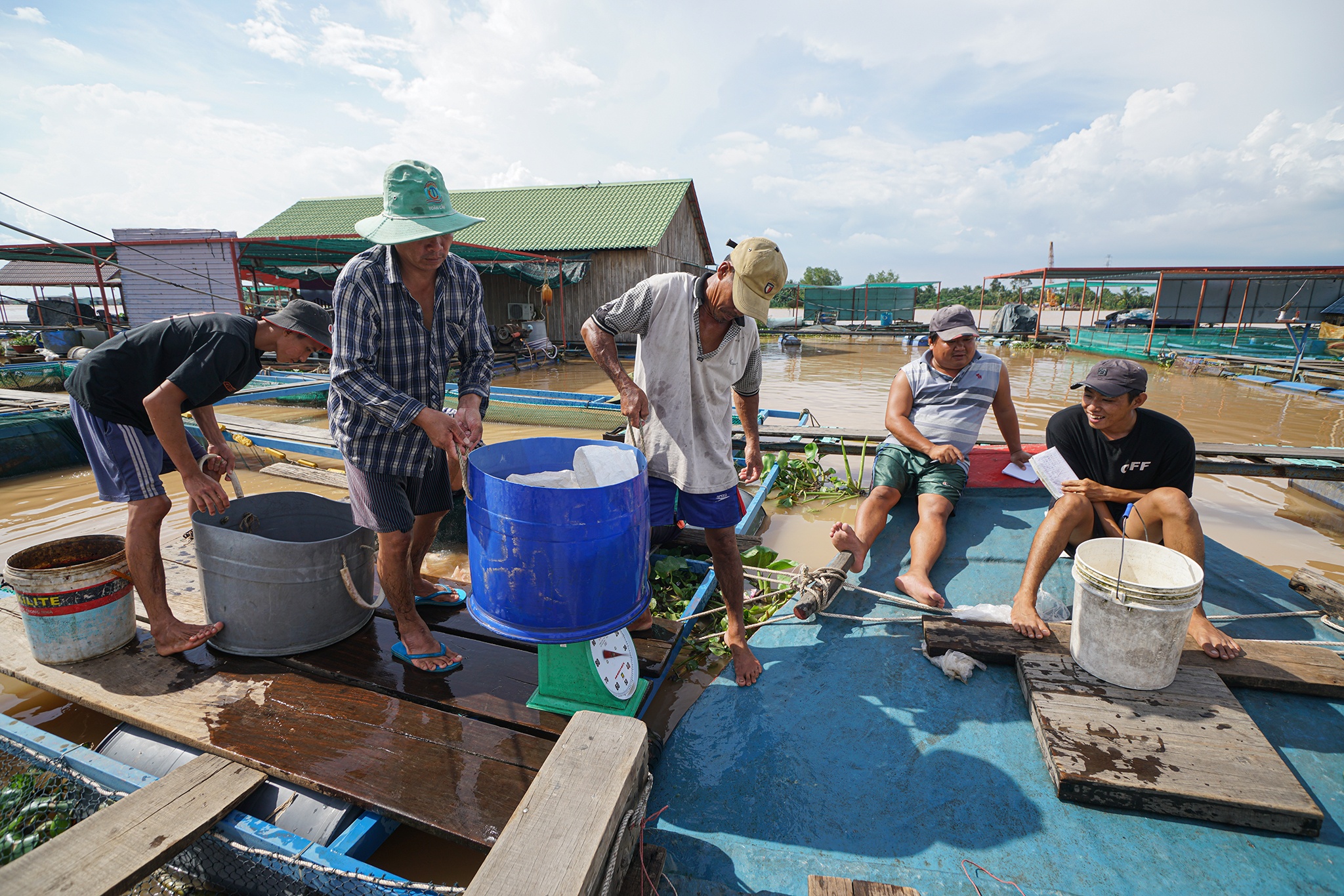 Cau Rach Mieu 2 anh 10