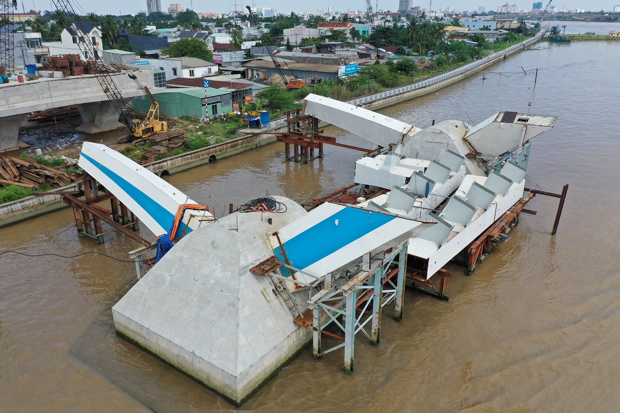 Cau Tran Hoang Na anh 6