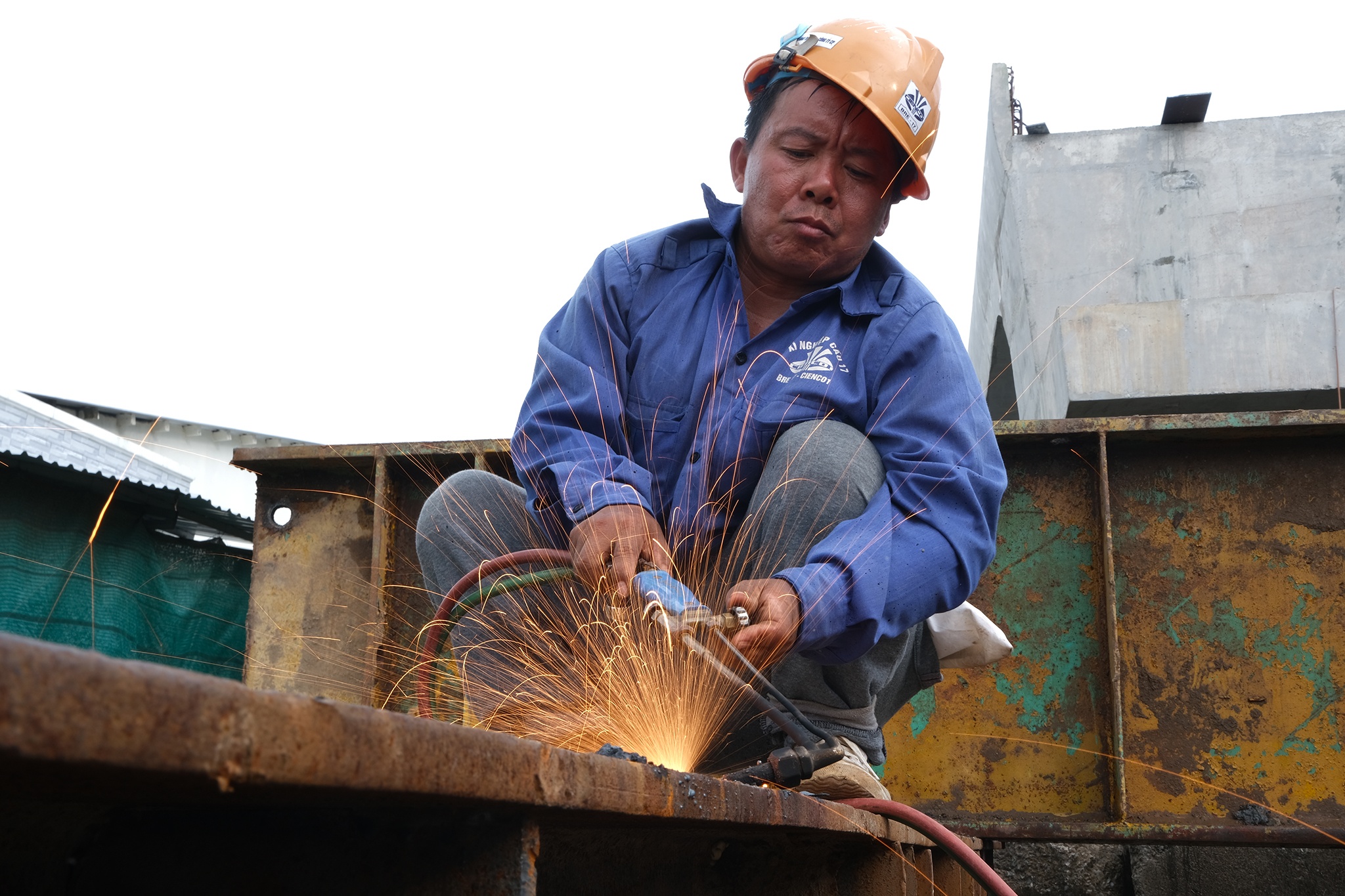 Cau Tran Hoang Na anh 8