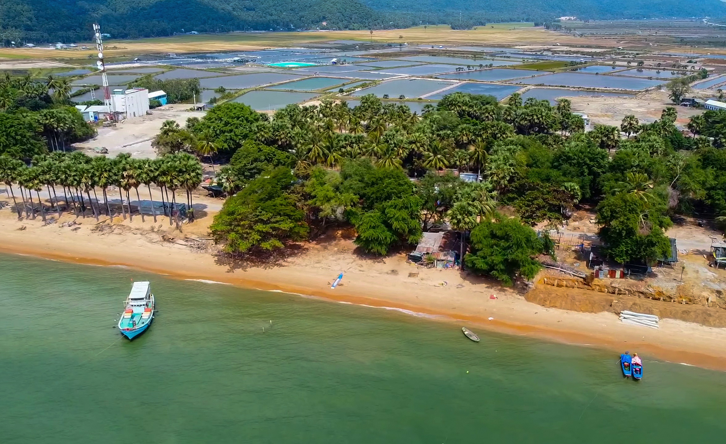 Danh thang Hon Chong anh 9