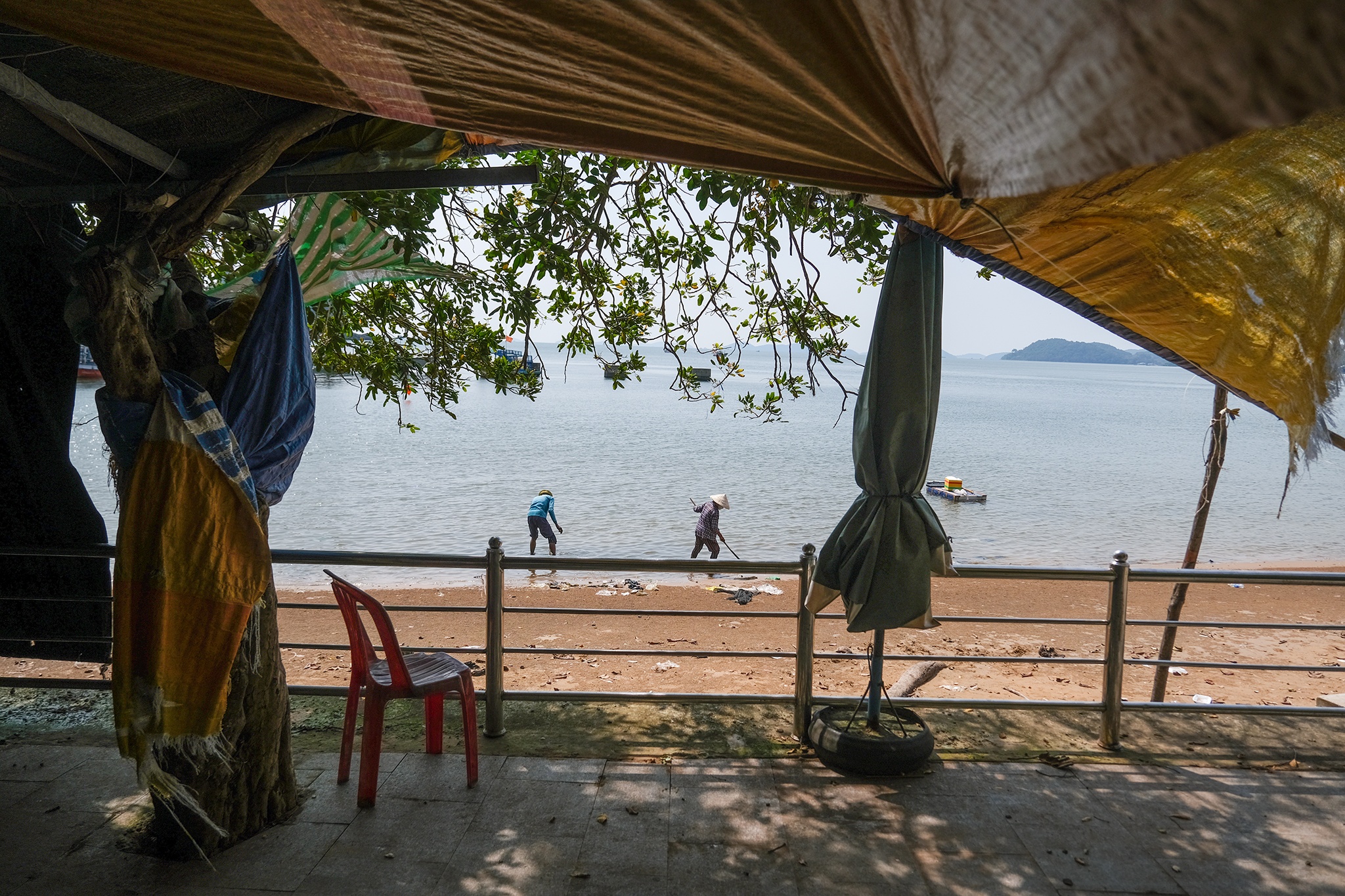 Danh thang Hon Chong anh 15