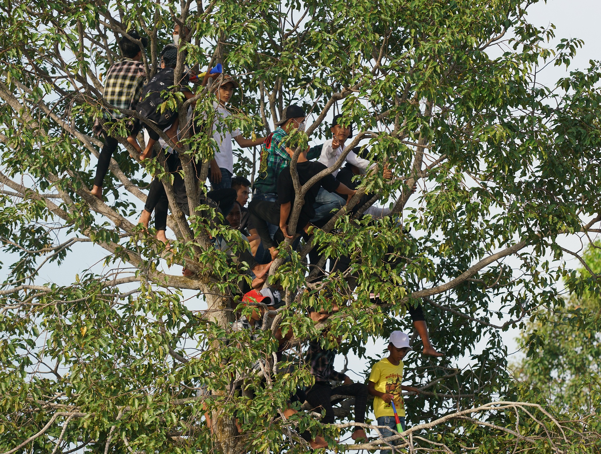 Đua ghe ngo ảnh 12 Dua ghe ngo anh 12