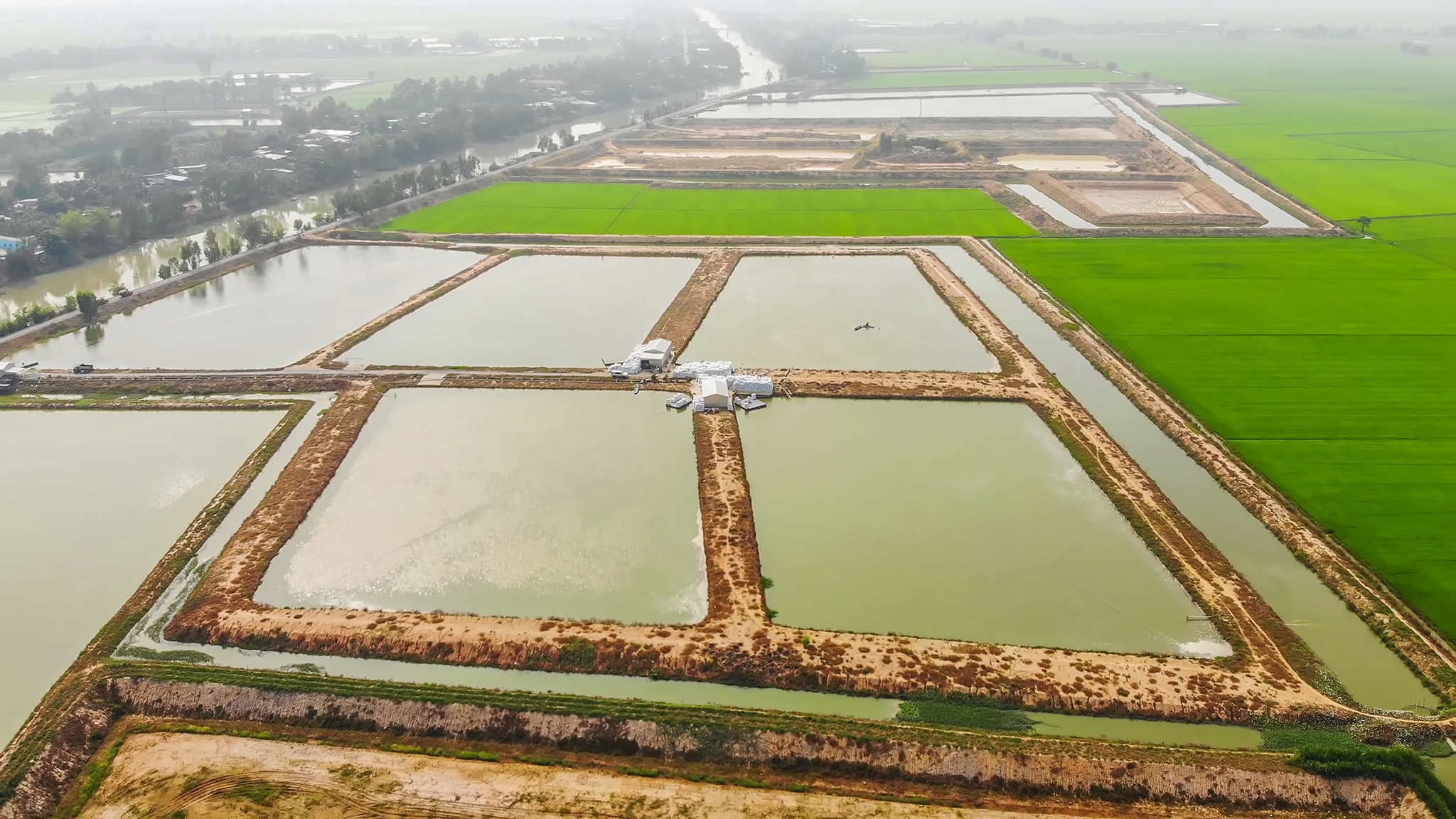 Le hoi ca tra anh 14