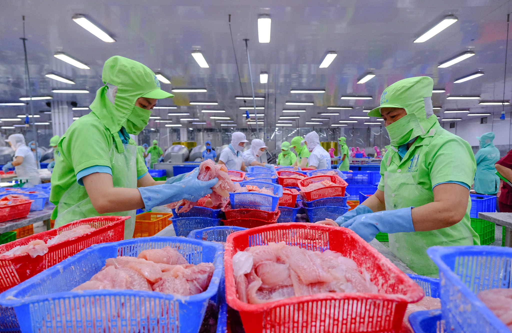 Le hoi ca tra anh 13