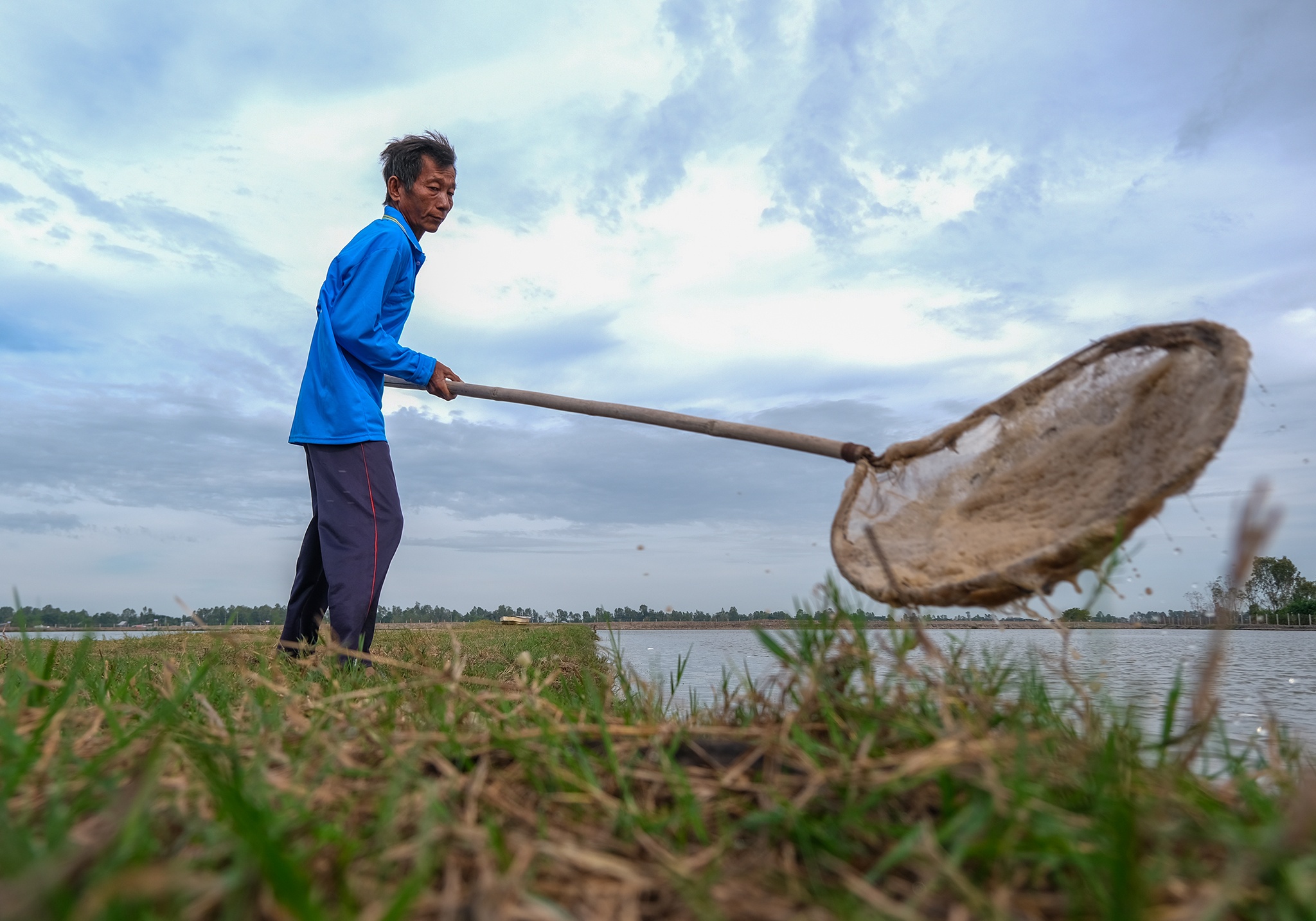 Le hoi ca tra anh 11