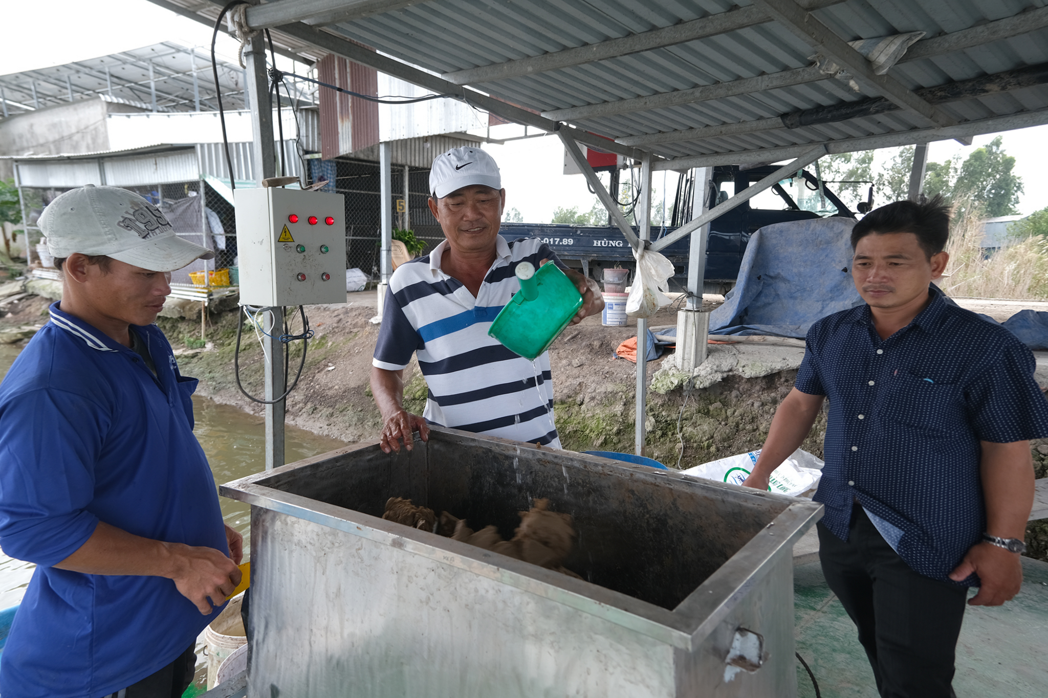 Le hoi ca tra anh 10