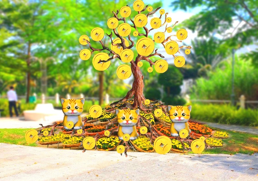 Vườn hoa xuân Cần Thơ ảnh 9 Vuon hoa xuan Can Tho anh 9
