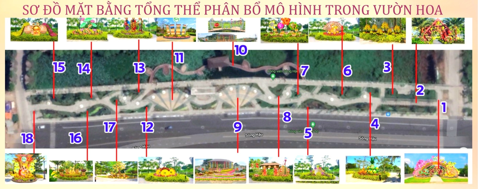 Vườn hoa xuân Cần Thơ ảnh 4 Vuon hoa xuan Can Tho anh 4