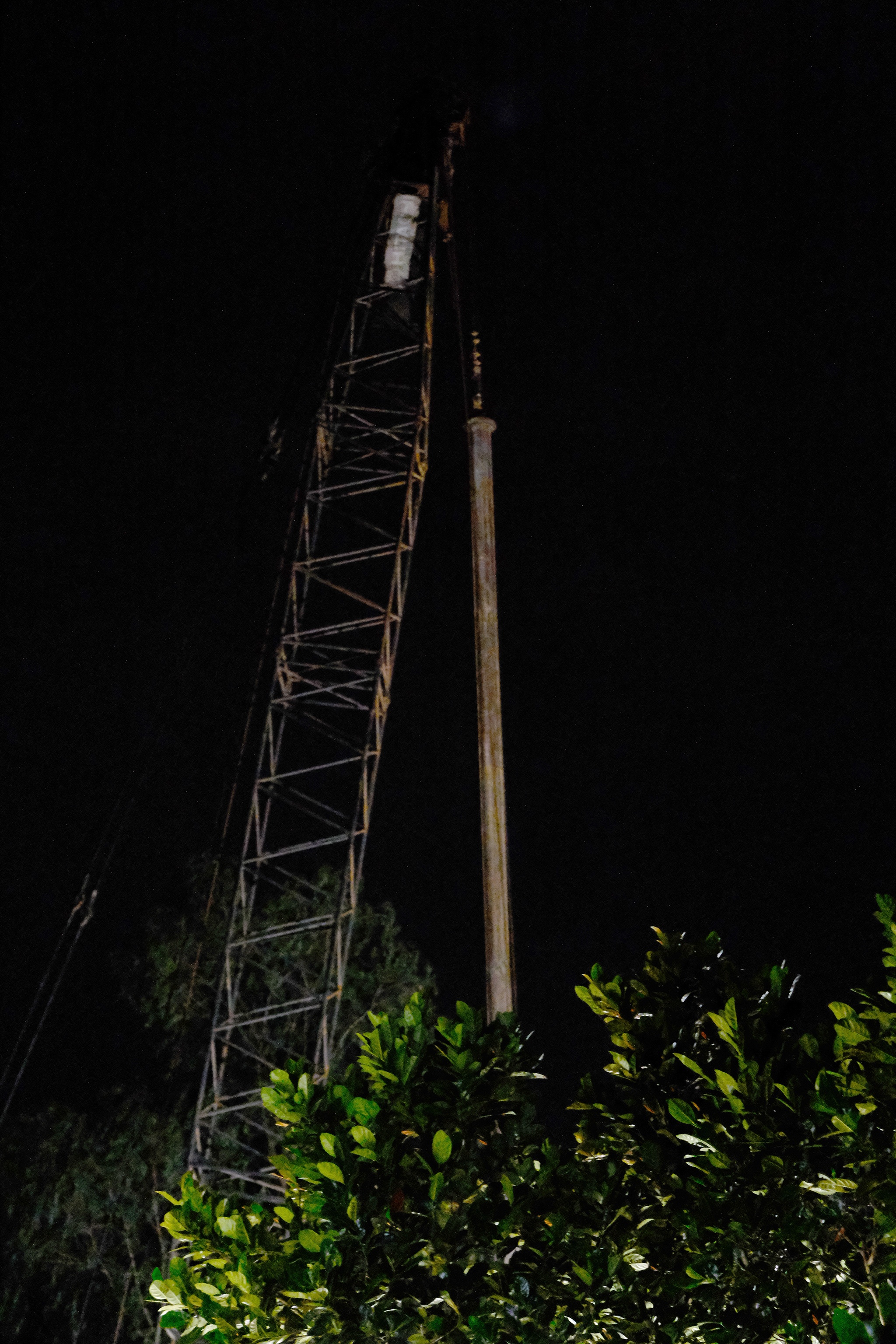 Thai Ly Hao Nam anh 3