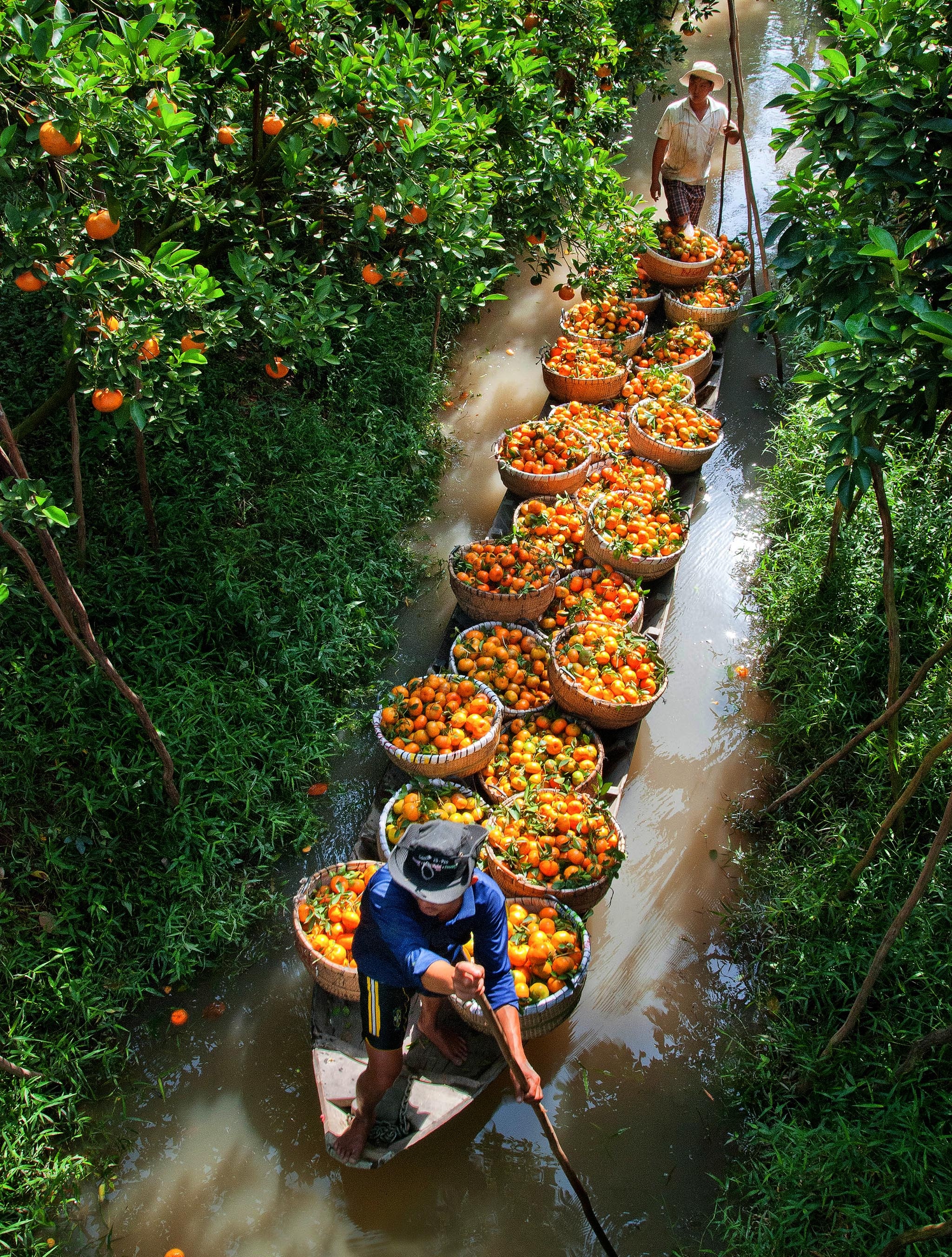 Le hoi quyt hong anh 7