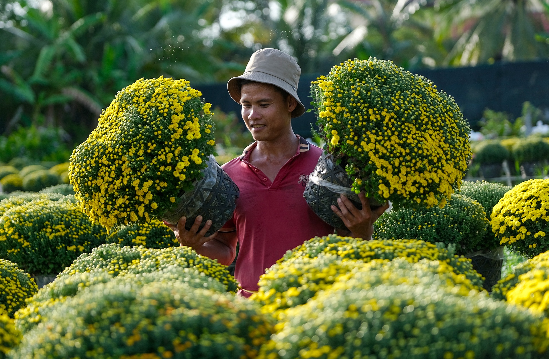'Vuong quoc cuc mam xoi' Sa Dec ngay giap Tet hinh anh