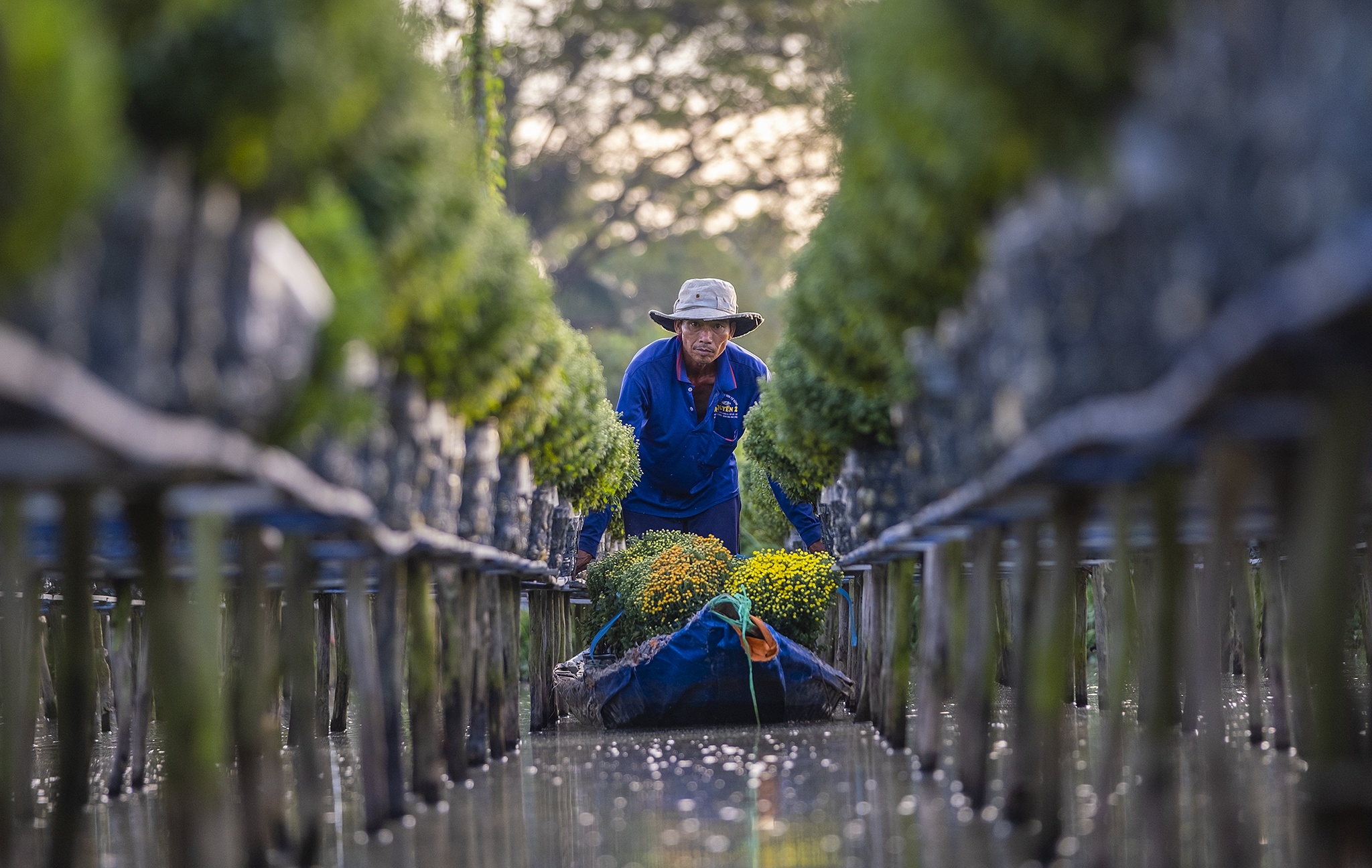 Lang hoa Sa Dec anh 8