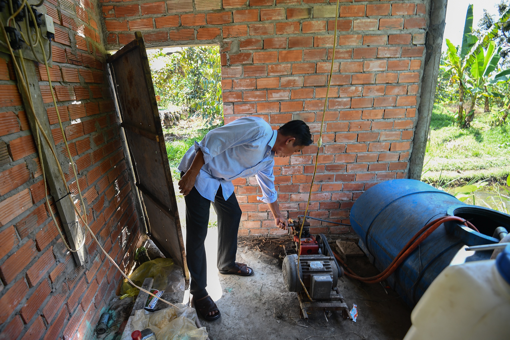 Sau rieng tang gia anh 7