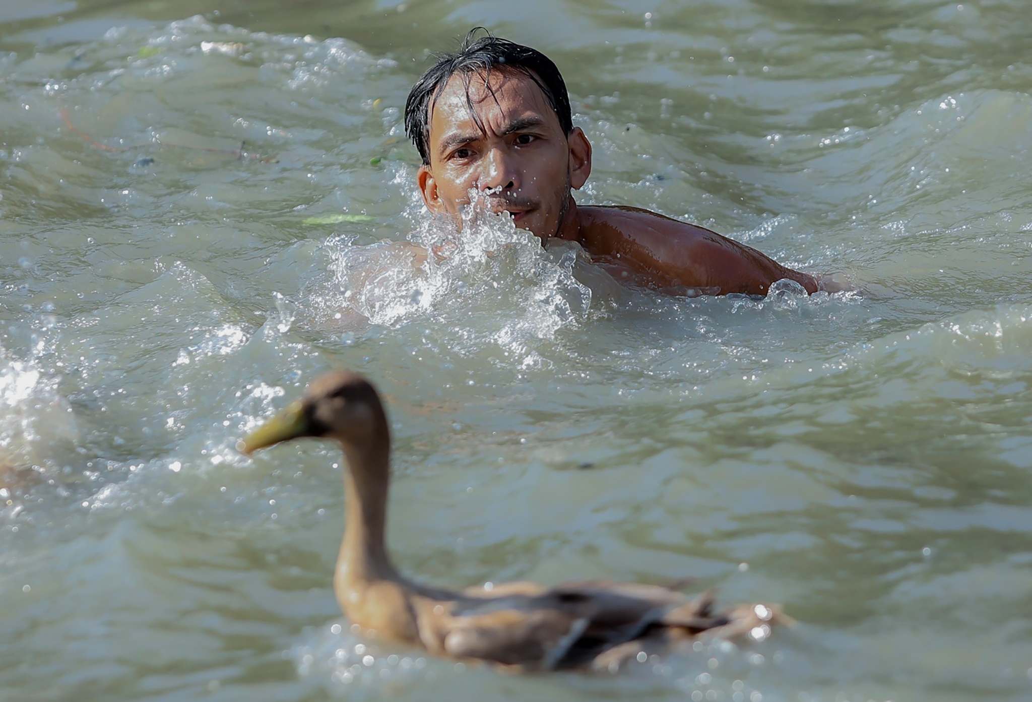 Loi song bat vit anh 3