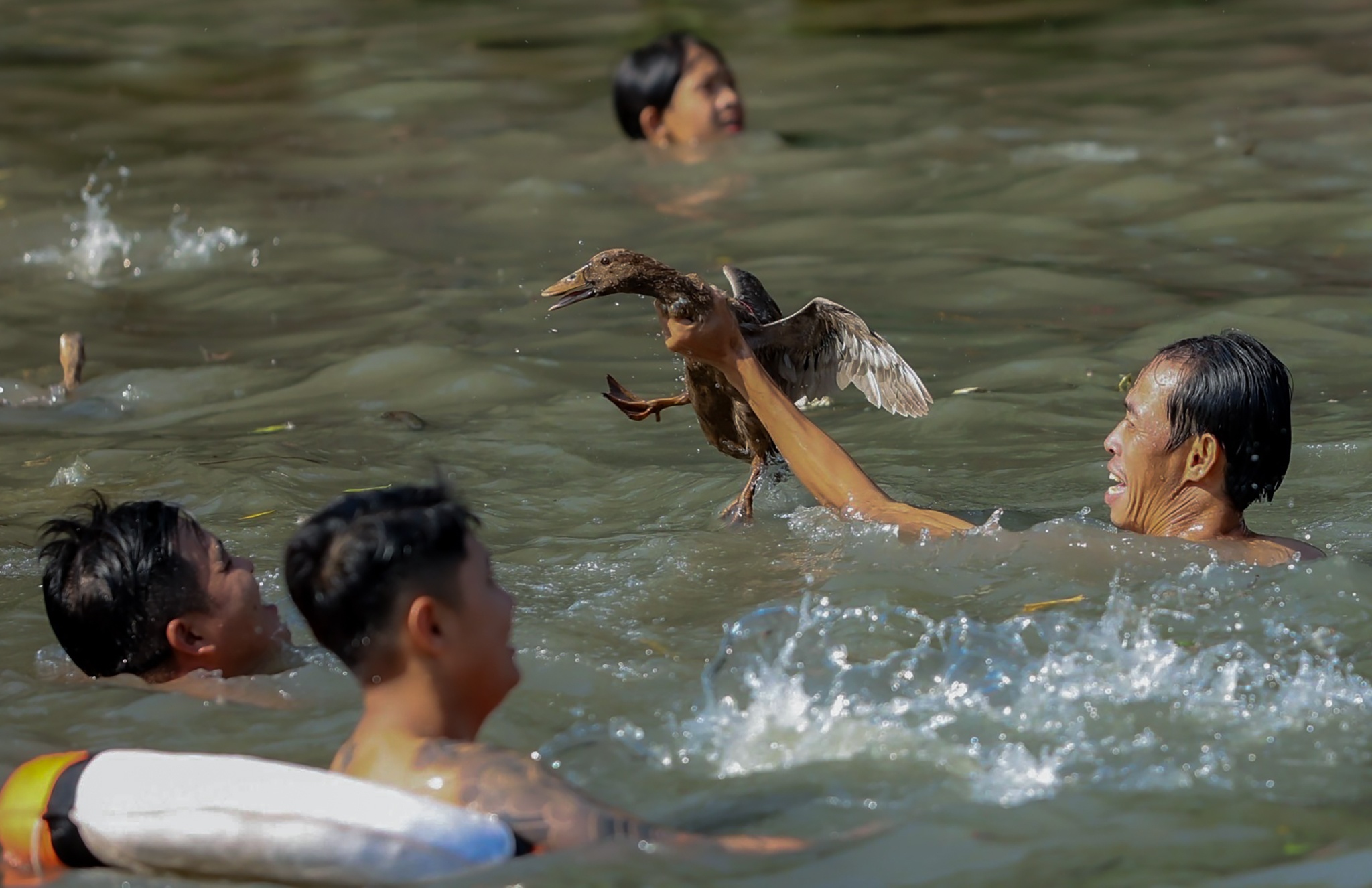 Loi song bat vit anh 5