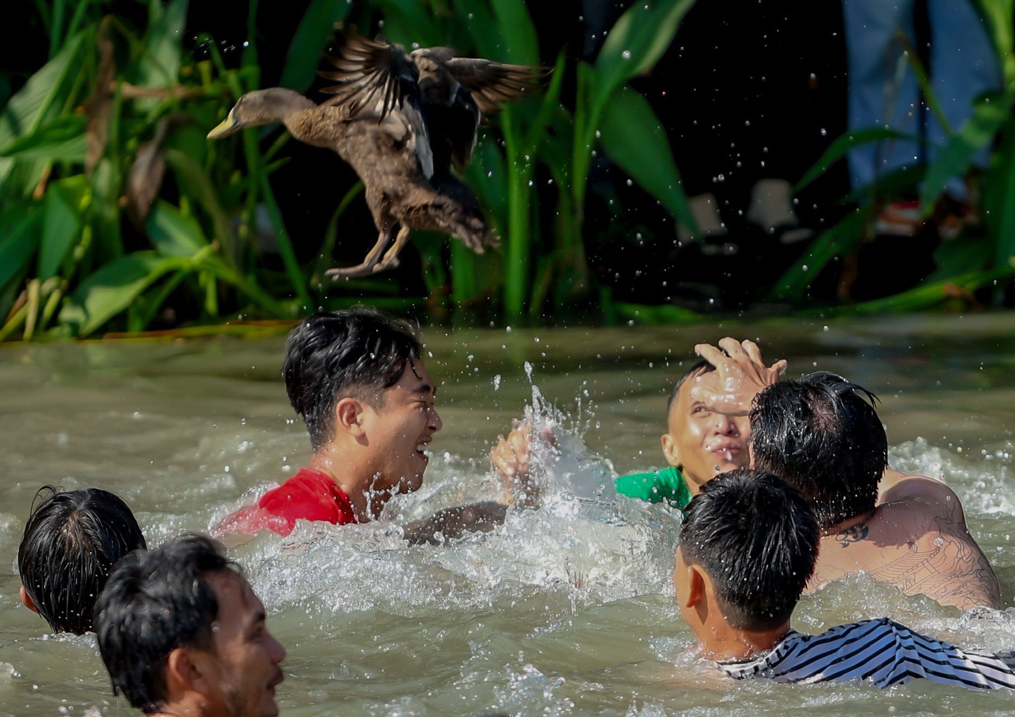 Hang tram thanh nien mien Tay loi song bat vit de cau may dau nam hinh anh