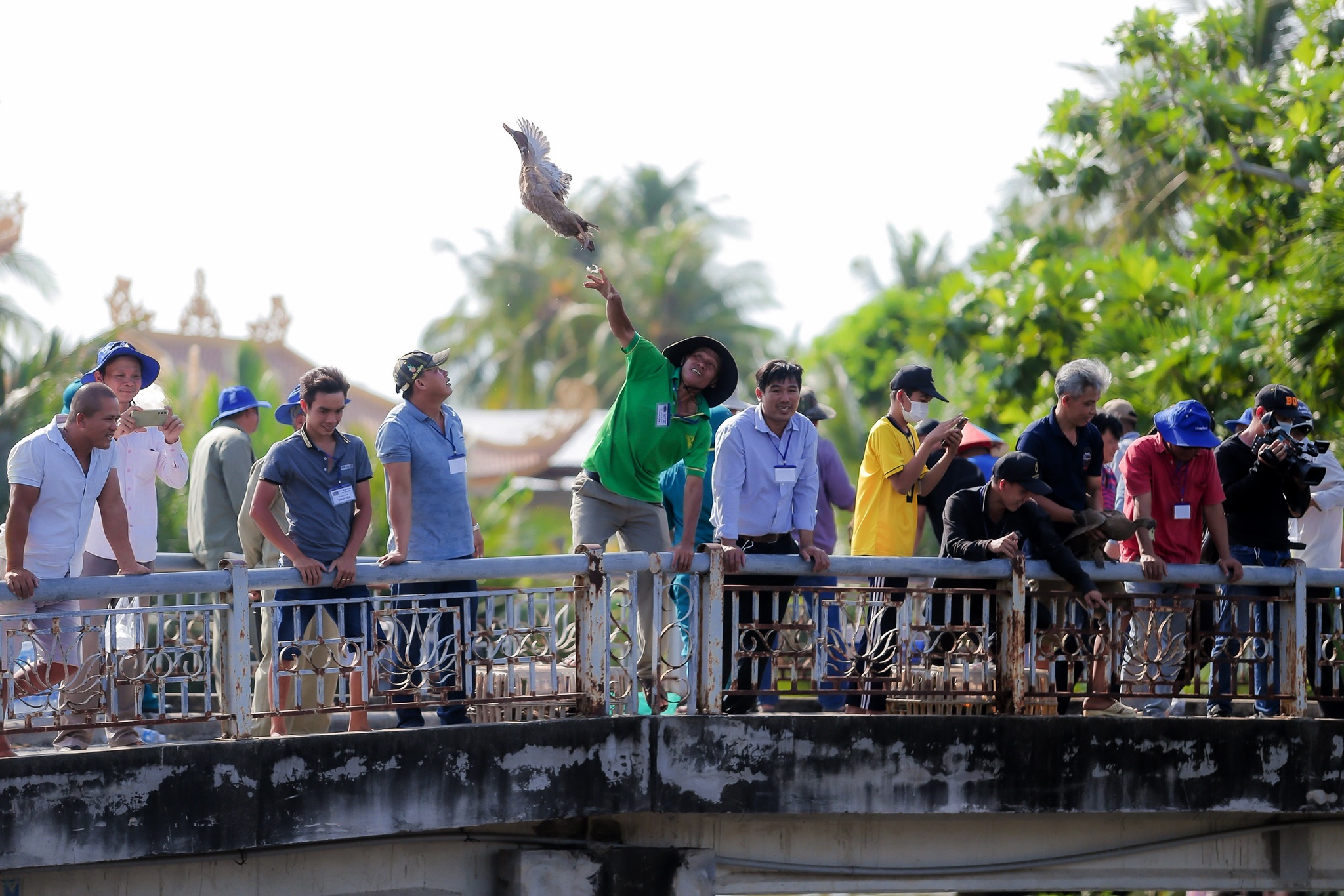 Loi song bat vit anh 4