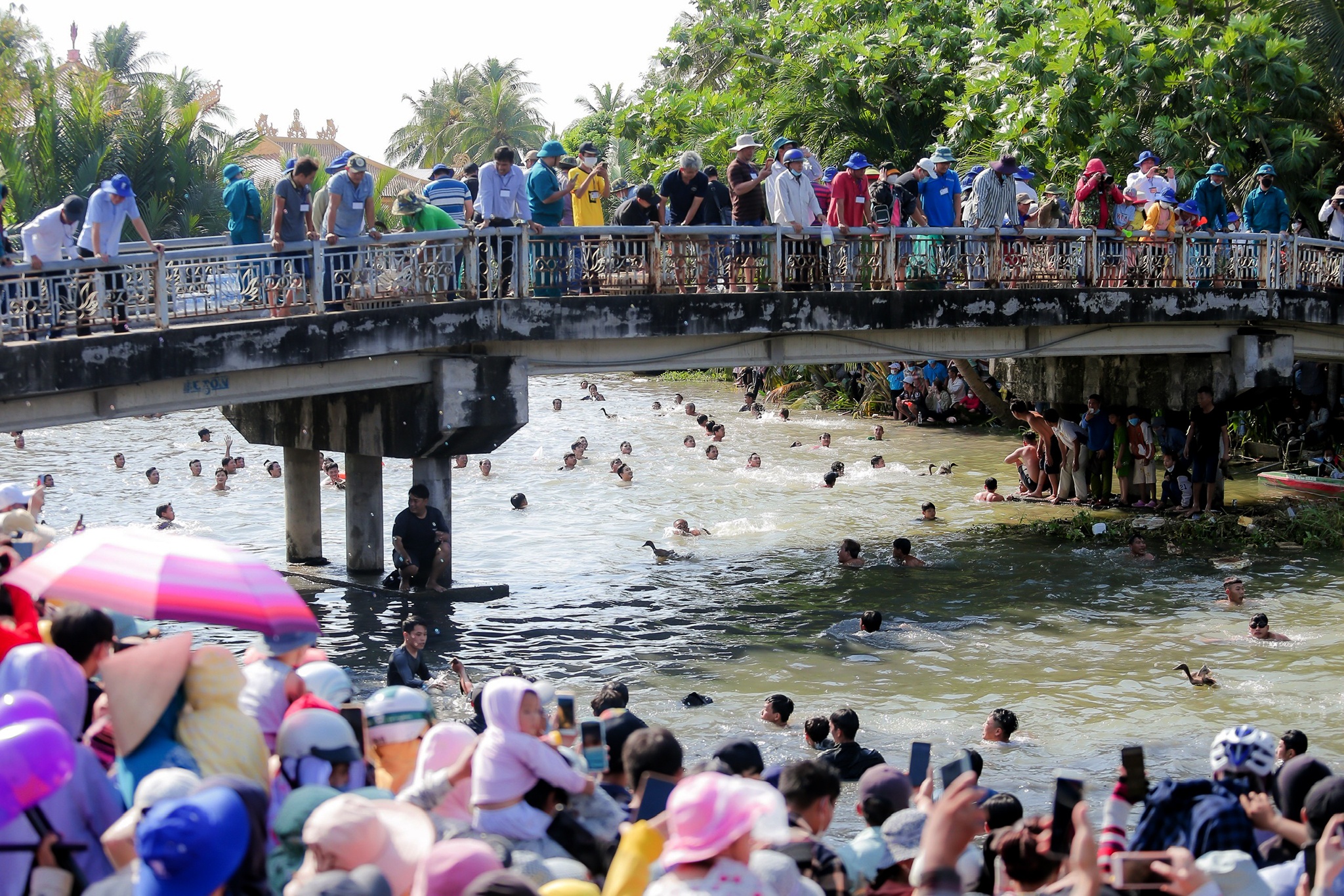 Loi song bat vit anh 1