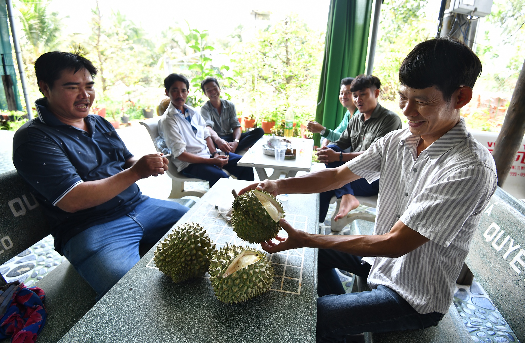 Sau rieng tien ty anh 10