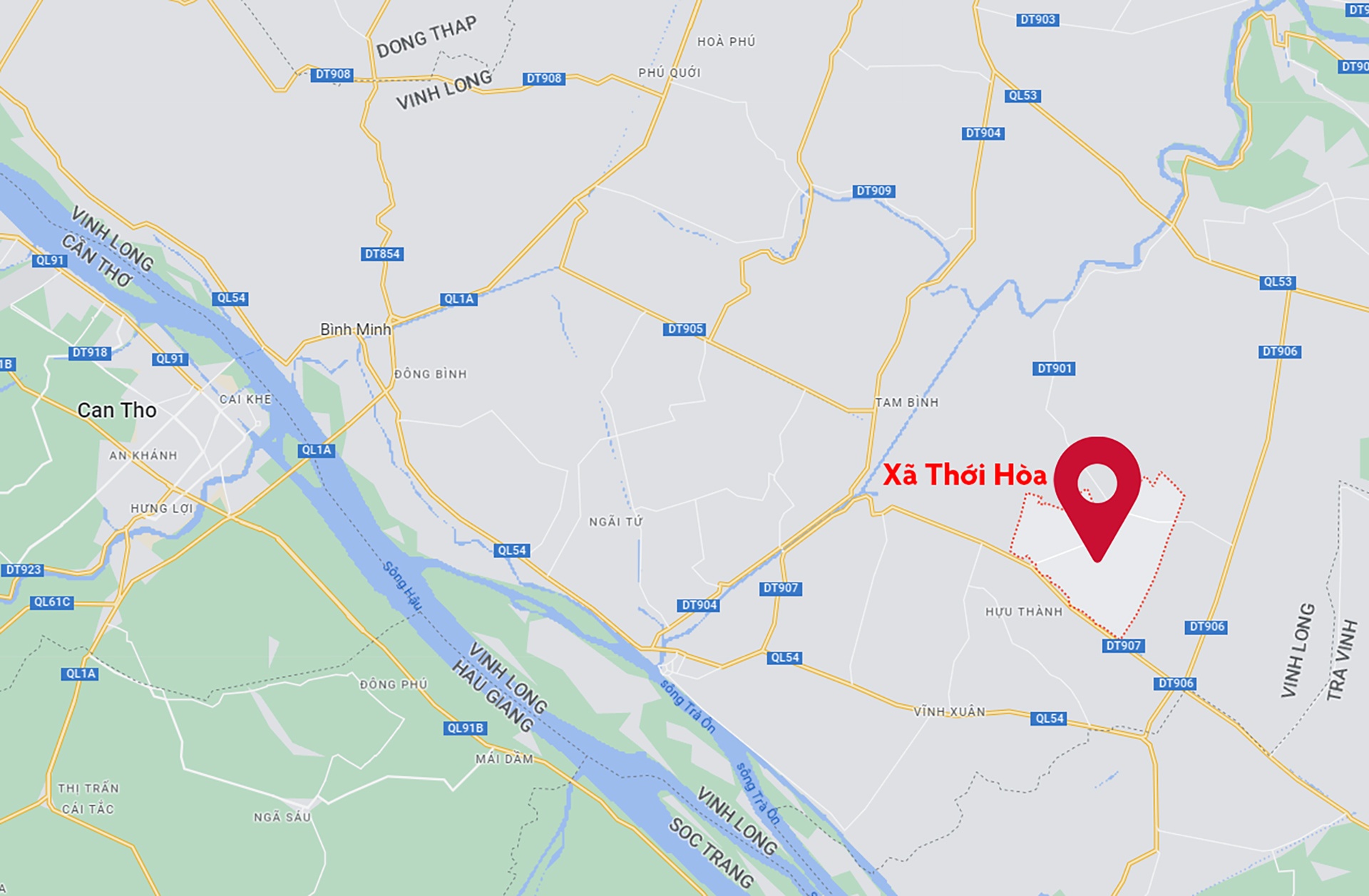 ban thao cam sanh anh 10