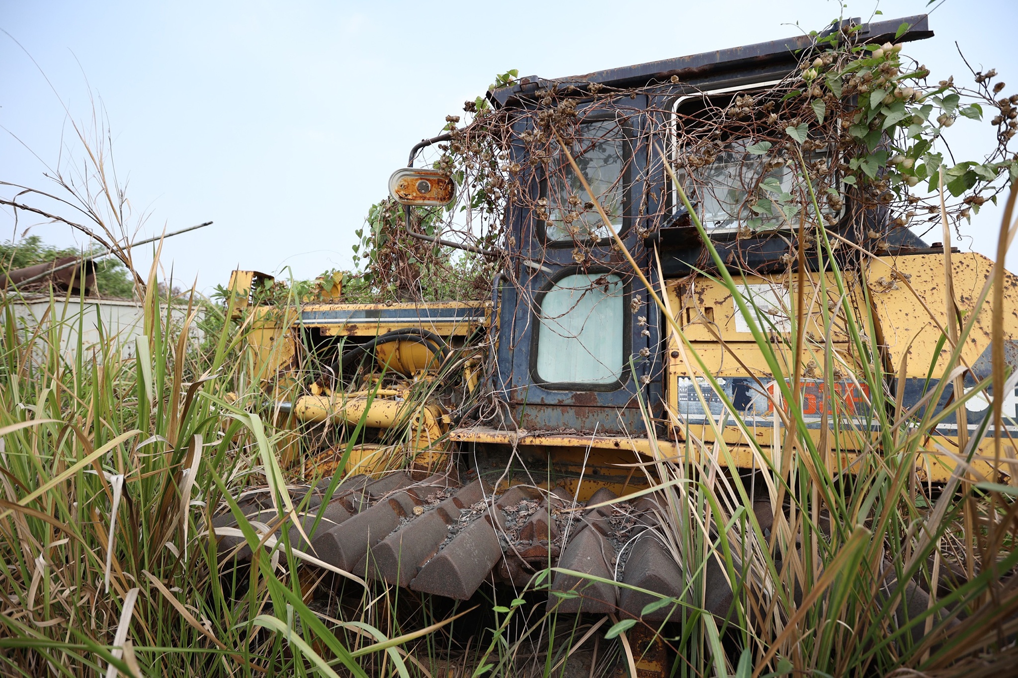 Cao toc bo hoang anh 4