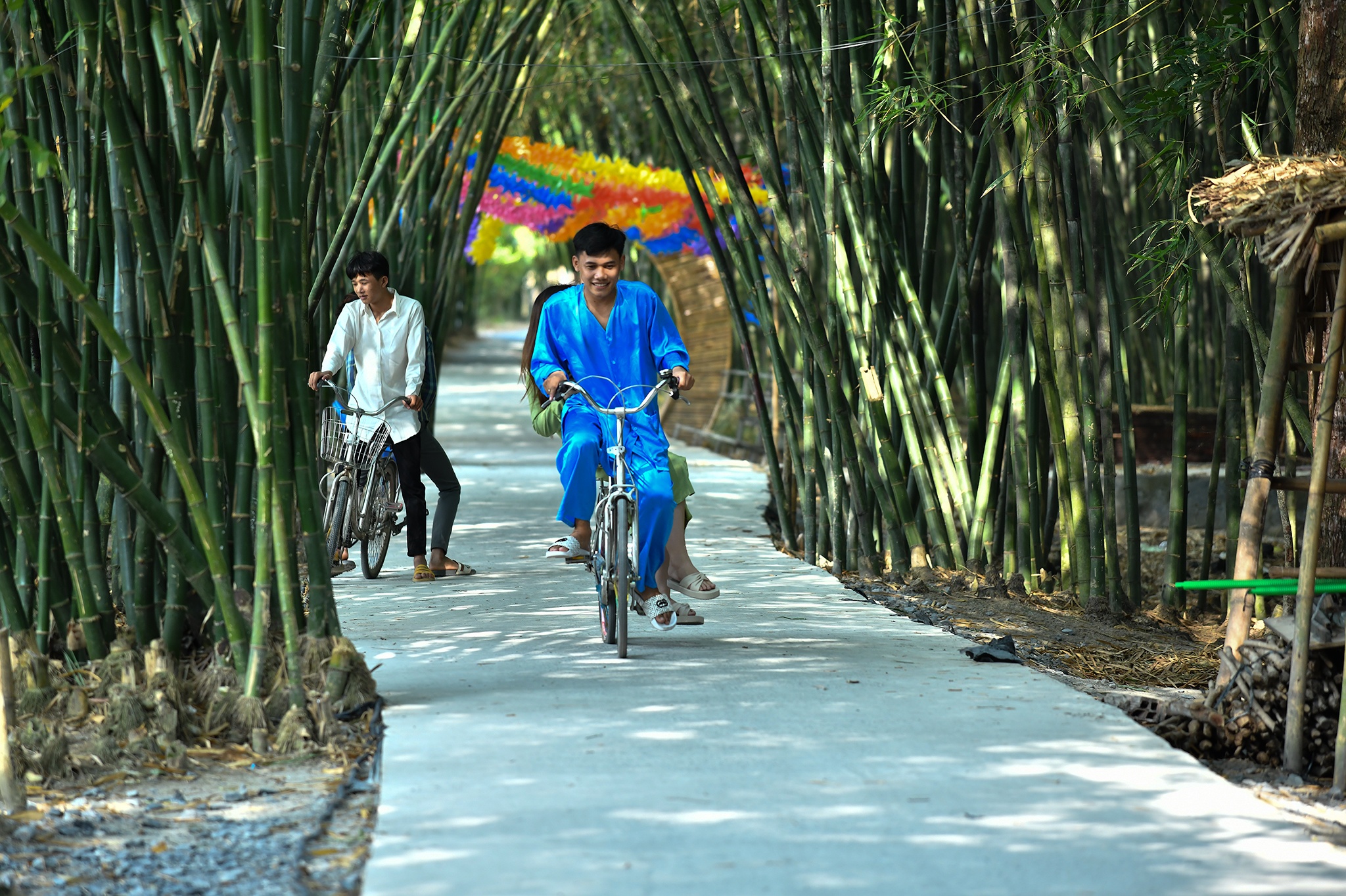 Vườn tre Tư Sang ảnh 8 Vuon tre Tu Sang anh 8