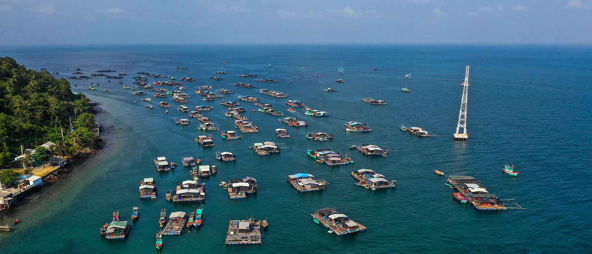 Hon dao 'nghin be ca' tren bien Kien Giang hinh anh